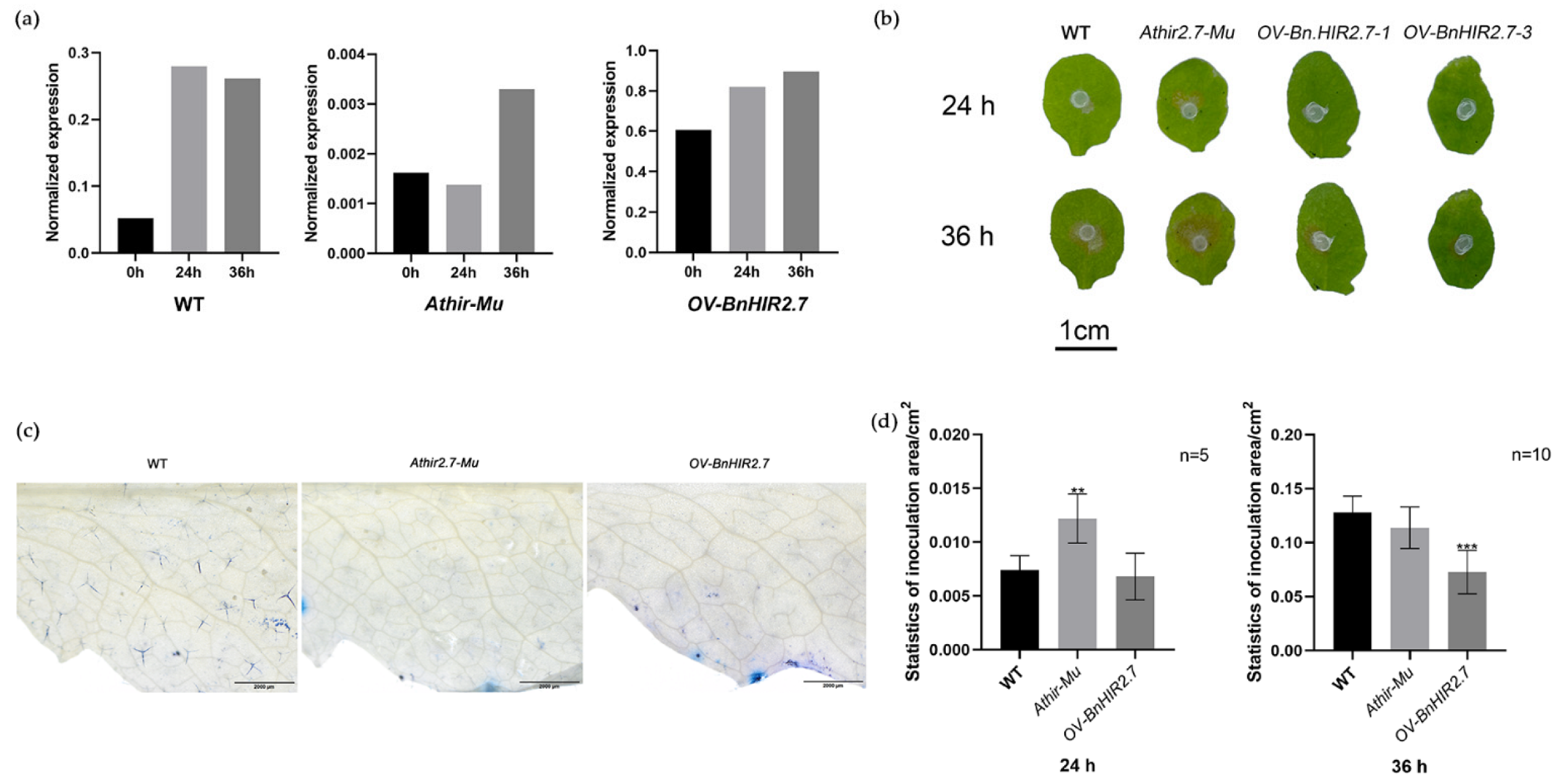 Horticulturae 08 00874 g006 Horticulturae 08 00874 g006
