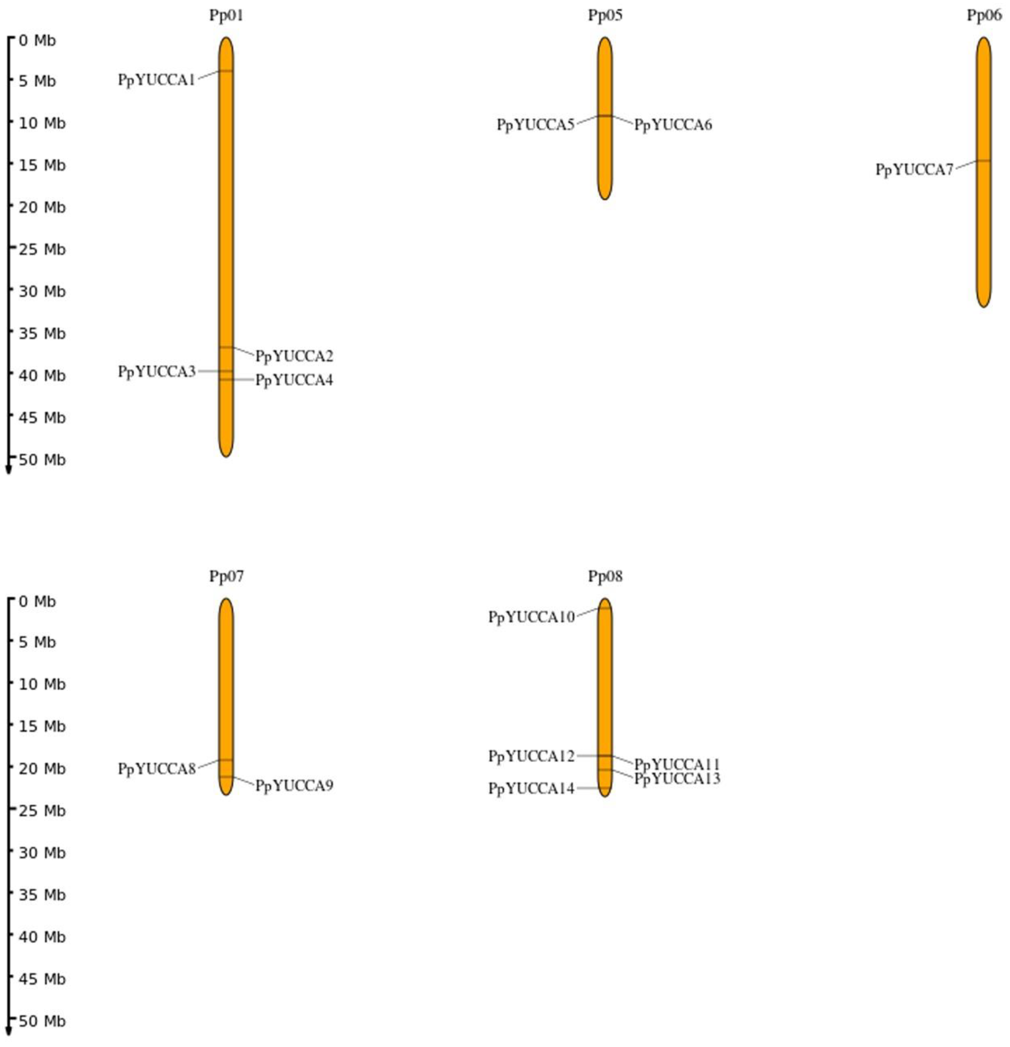 Horticulturae 08 00878 g001 Horticulturae 08 00878 g001