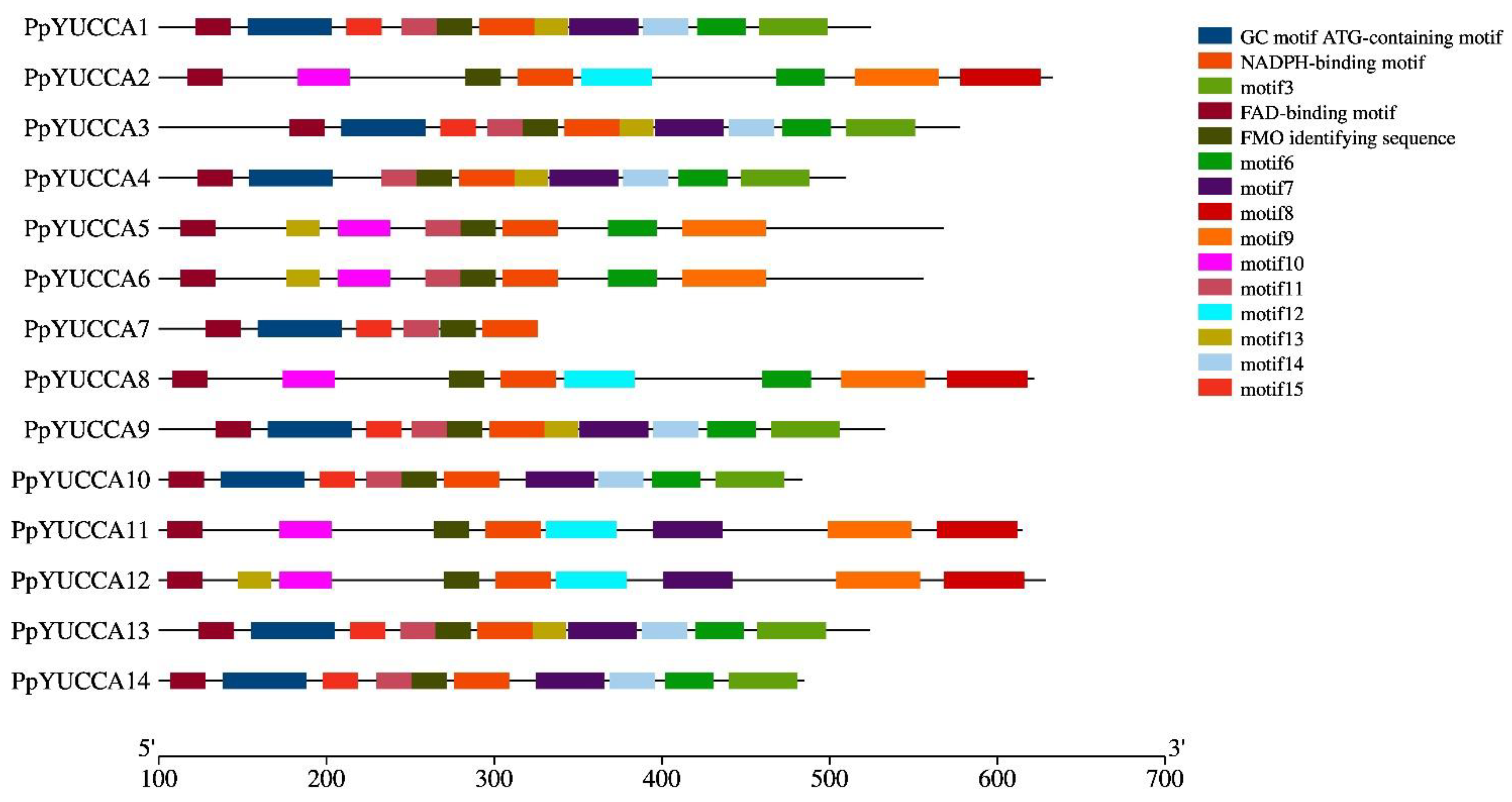 Horticulturae 08 00878 g003 Horticulturae 08 00878 g003