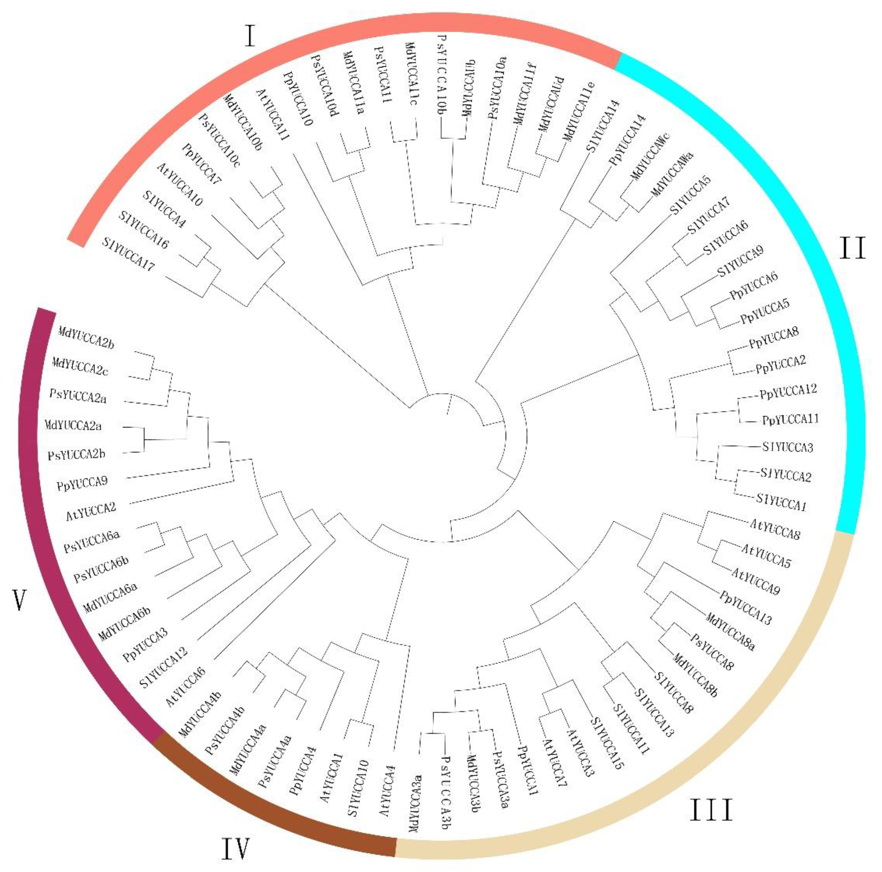Horticulturae 08 00878 g005 Horticulturae 08 00878 g005