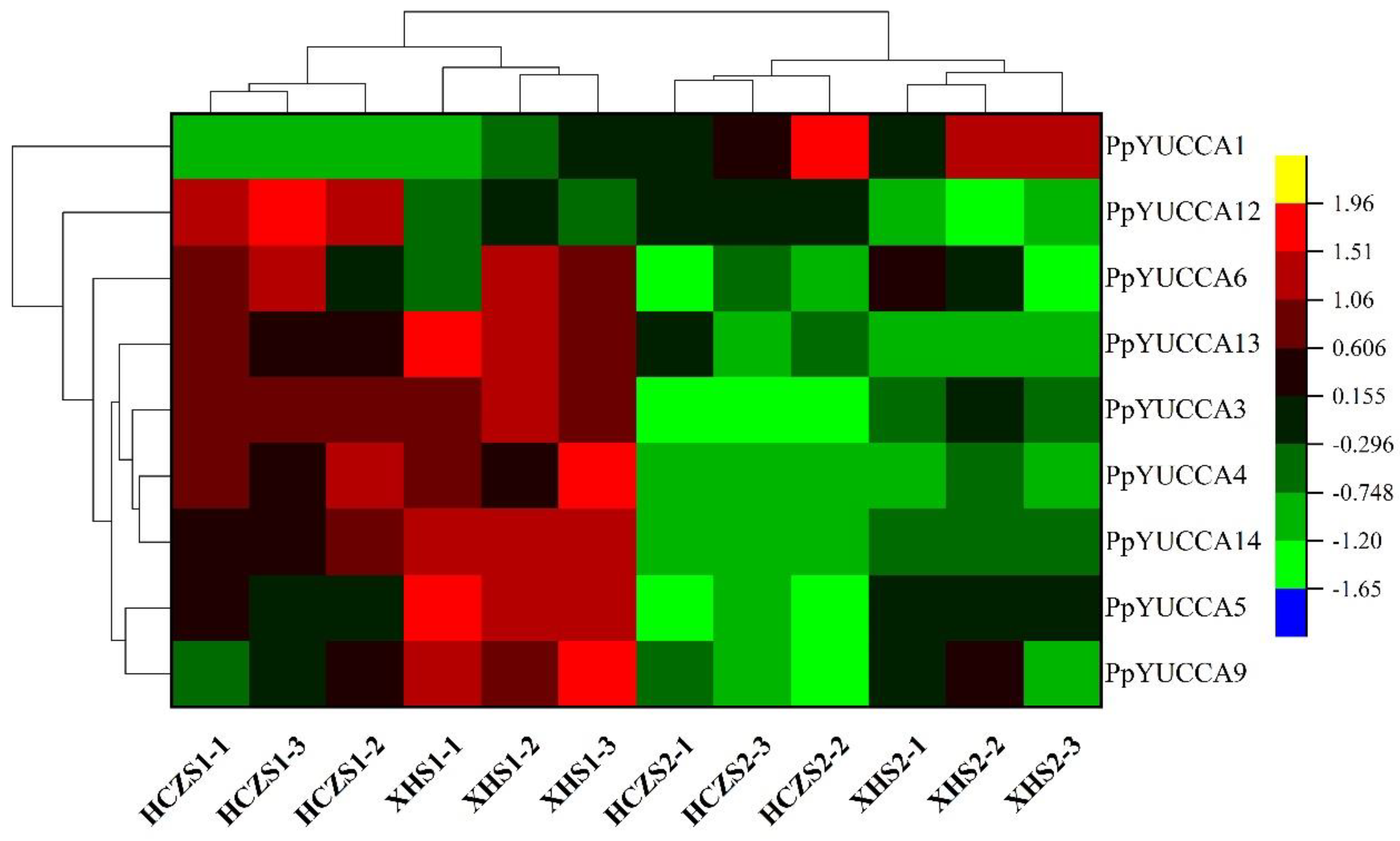 Horticulturae 08 00878 g008 Horticulturae 08 00878 g008