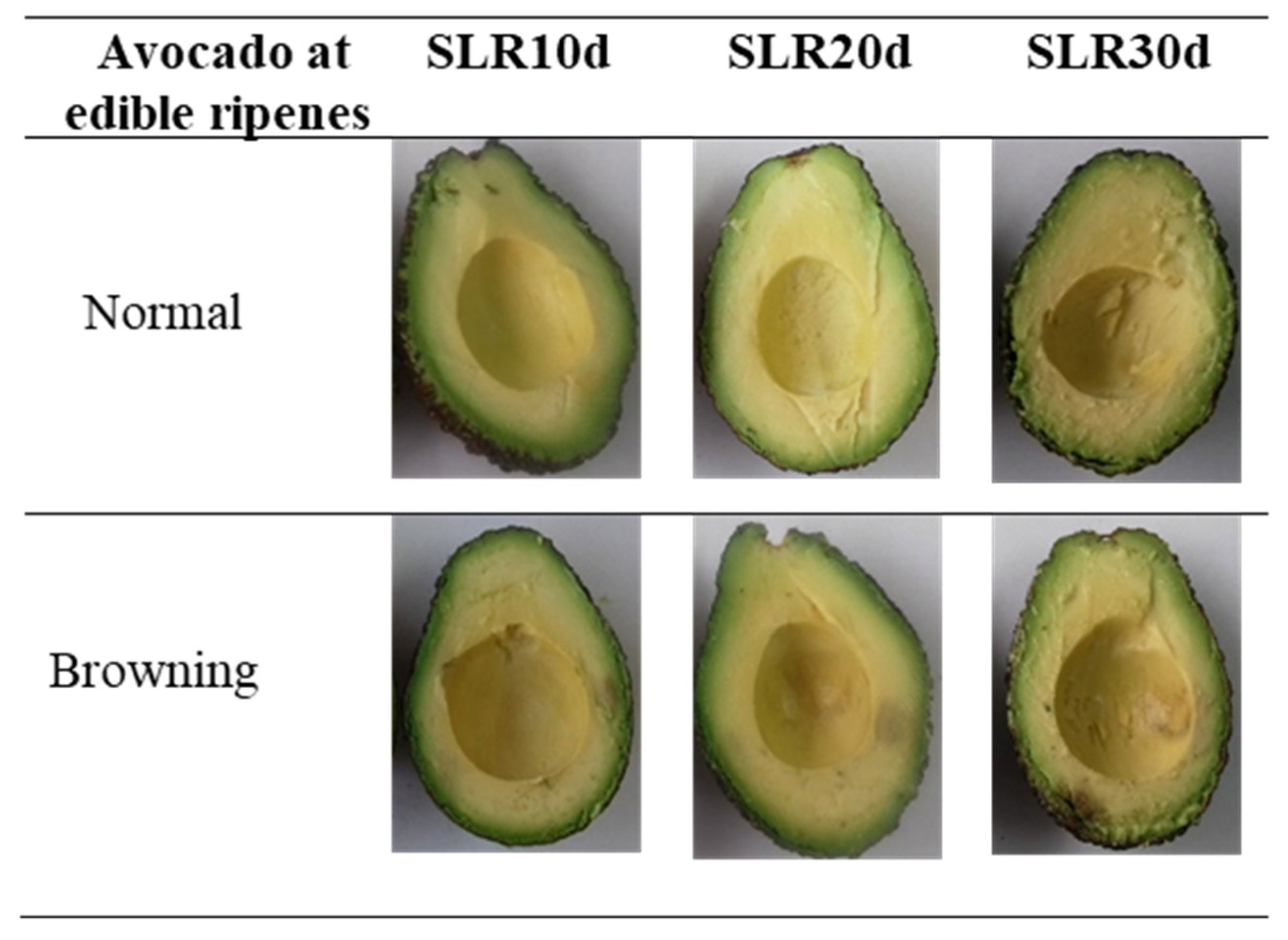 Horticulturae 08 00880 g003
