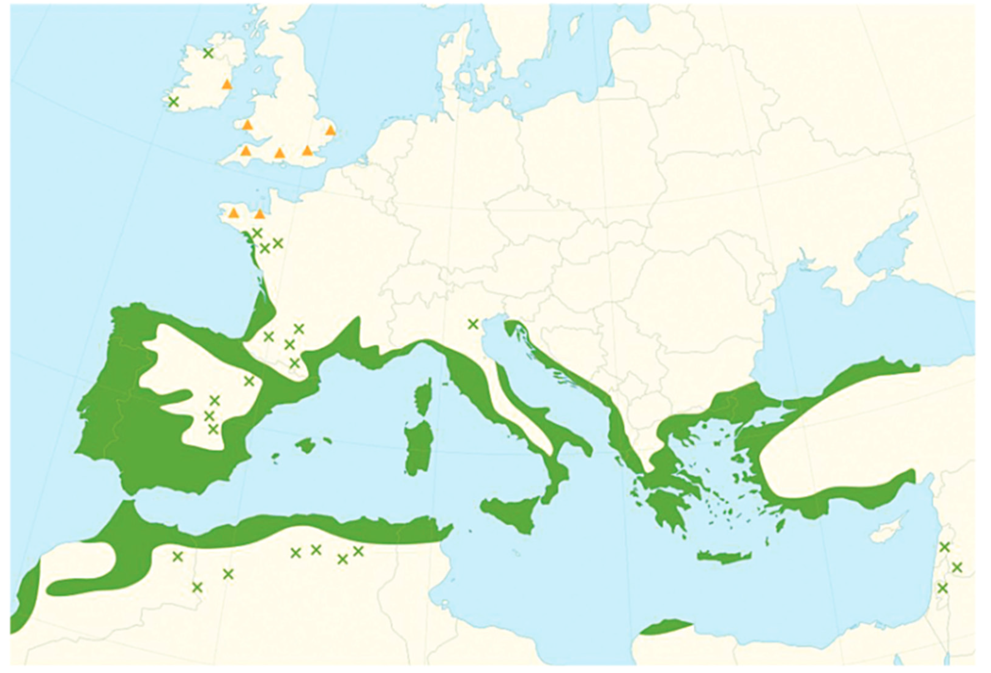 Horticulturae 08 00881 g002 Horticulturae 08 00881 g002
