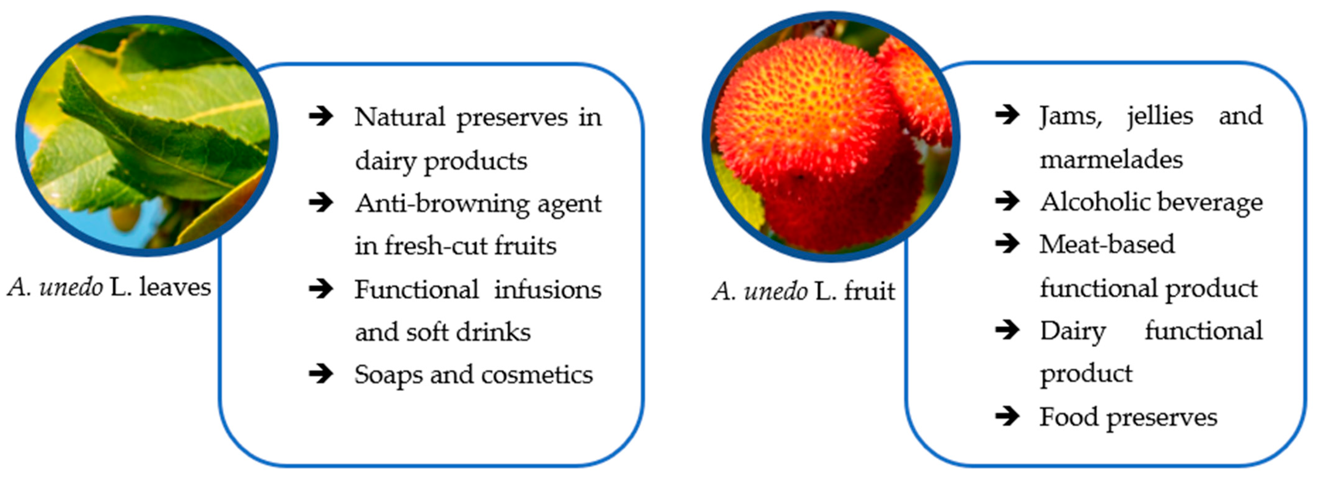 Horticulturae 08 00881 g005 Horticulturae 08 00881 g005