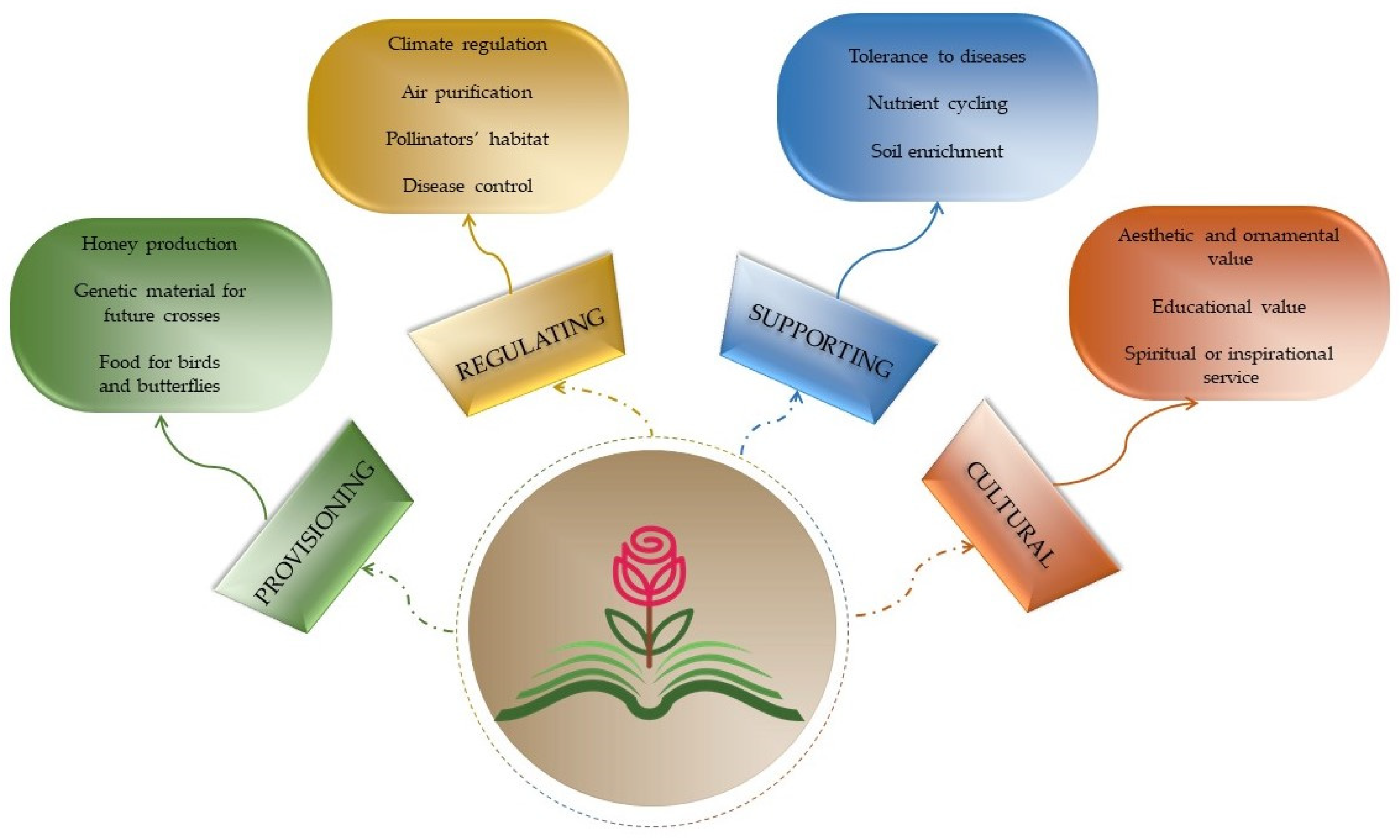 Horticulturae 08 00883 g004