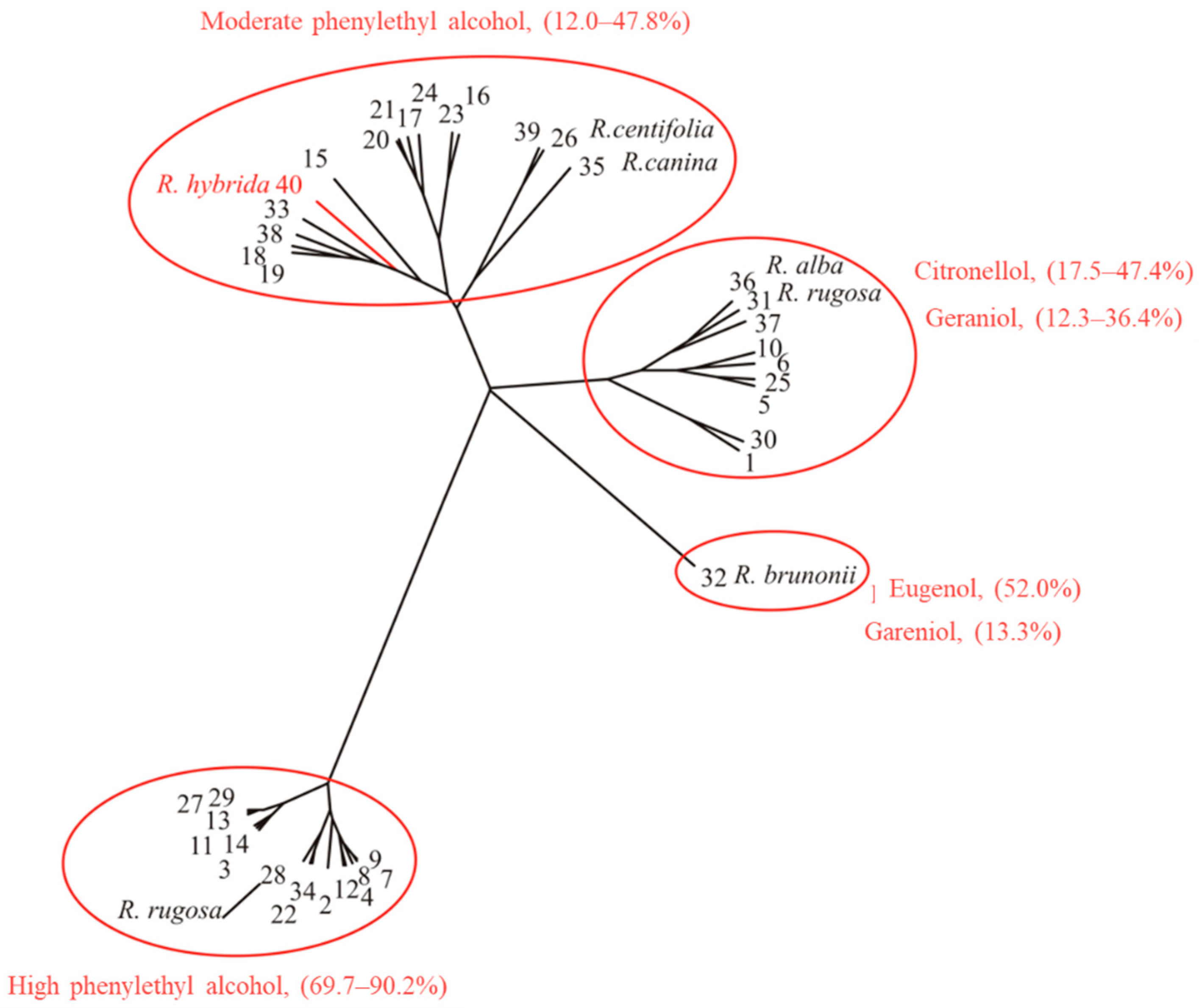 Horticulturae 08 00895 g001