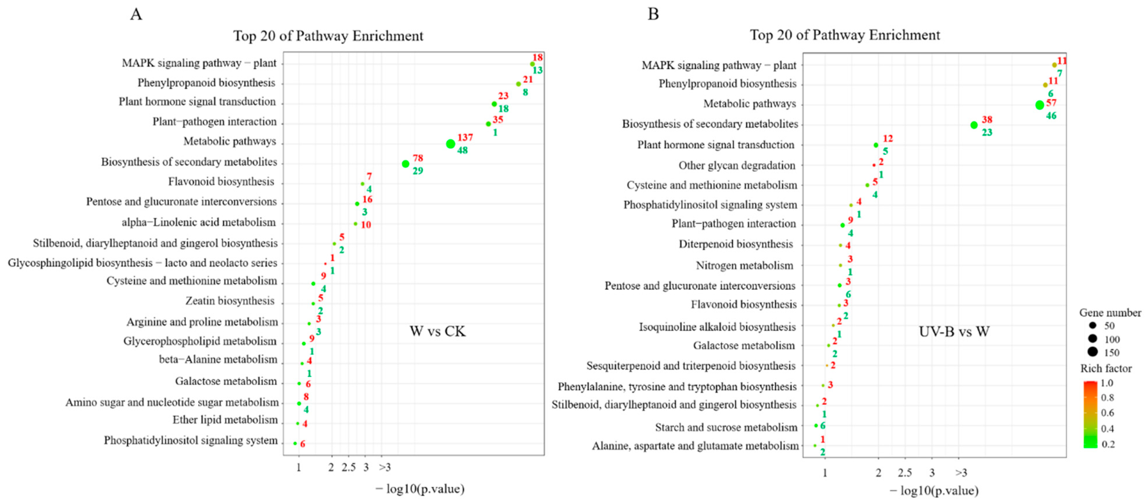 Horticulturae 08 00896 g004 Horticulturae 08 00896 g004