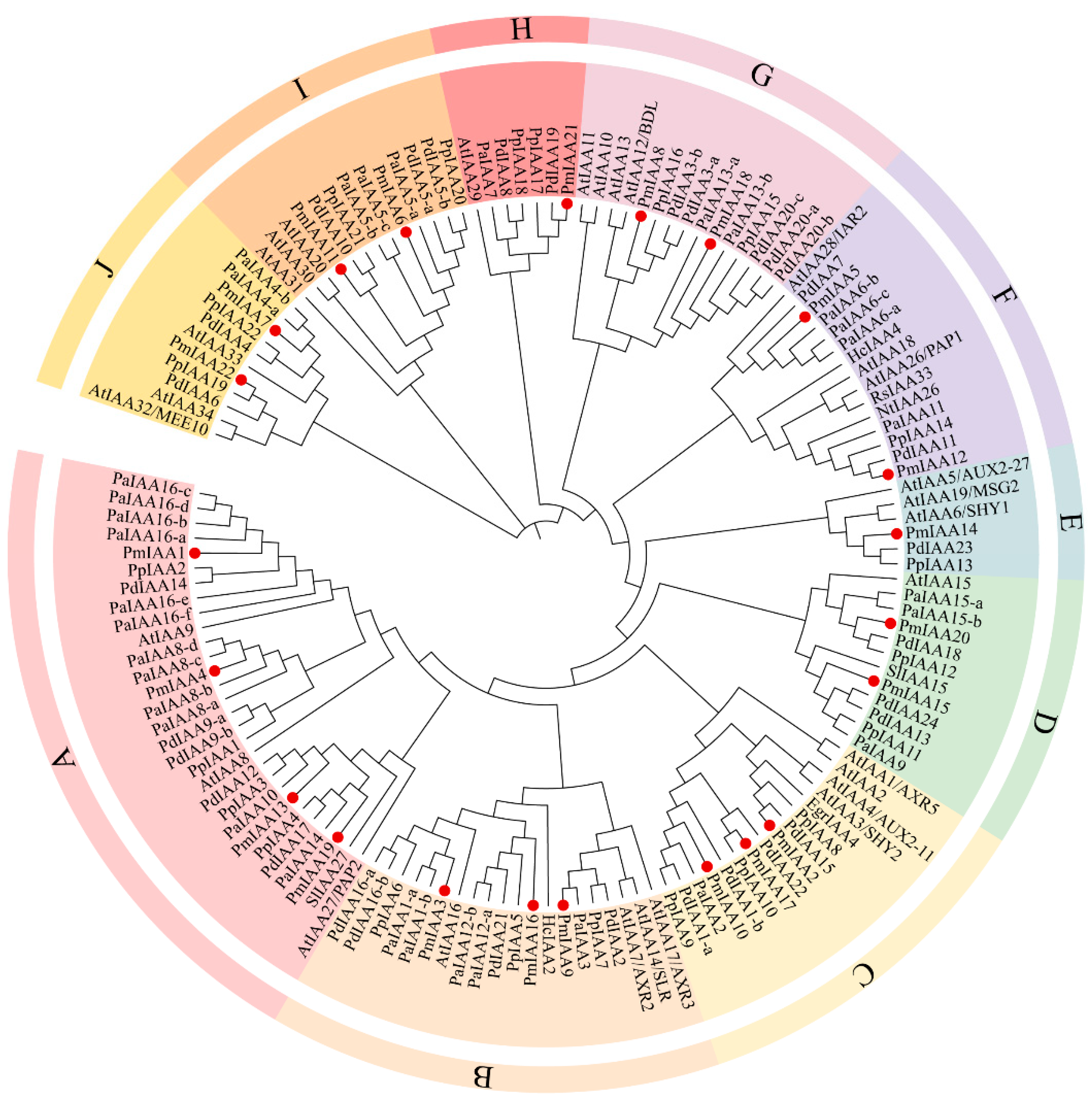 Horticulturae 08 00899 g001 Horticulturae 08 00899 g001