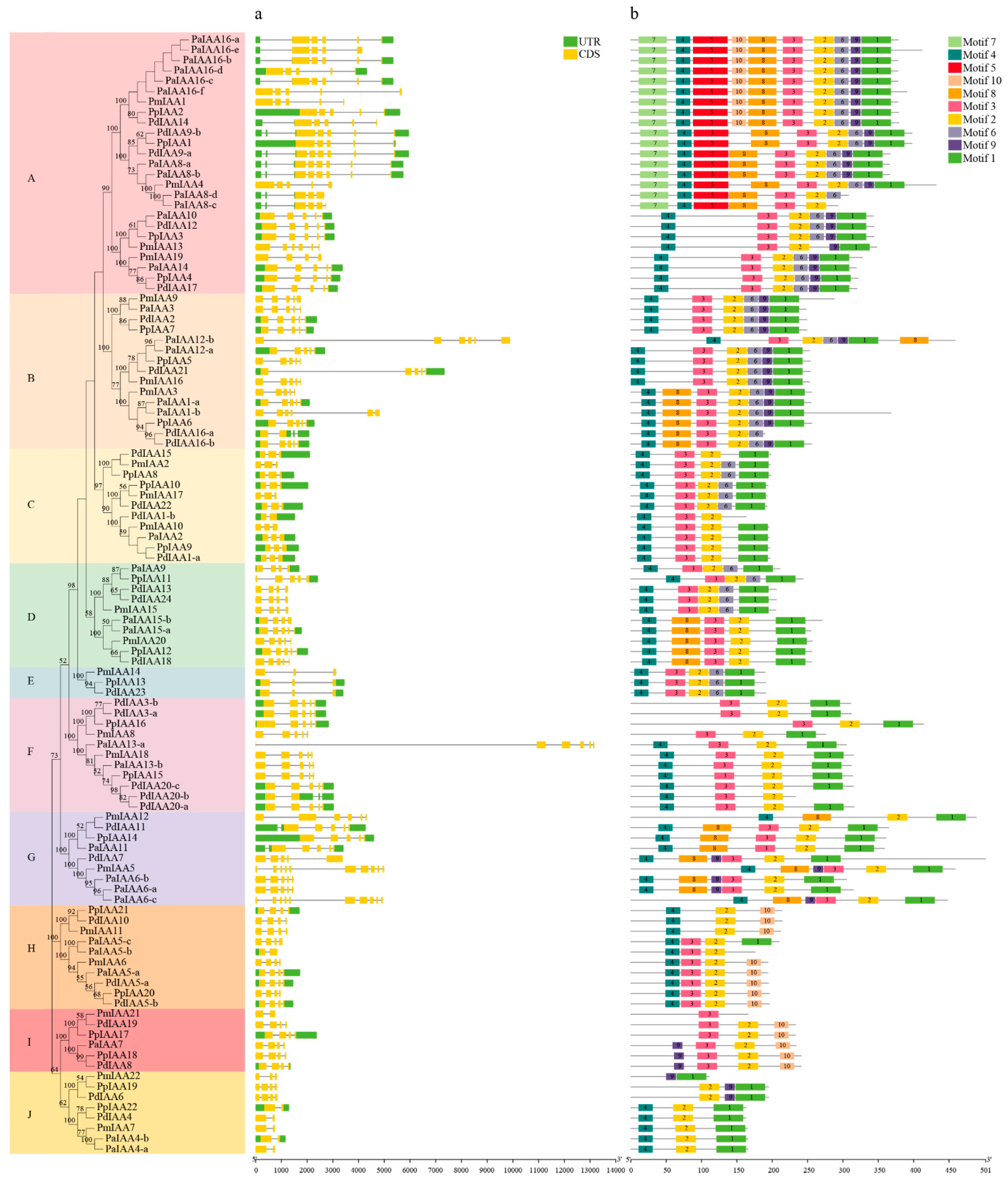 Horticulturae 08 00899 g002 Horticulturae 08 00899 g002