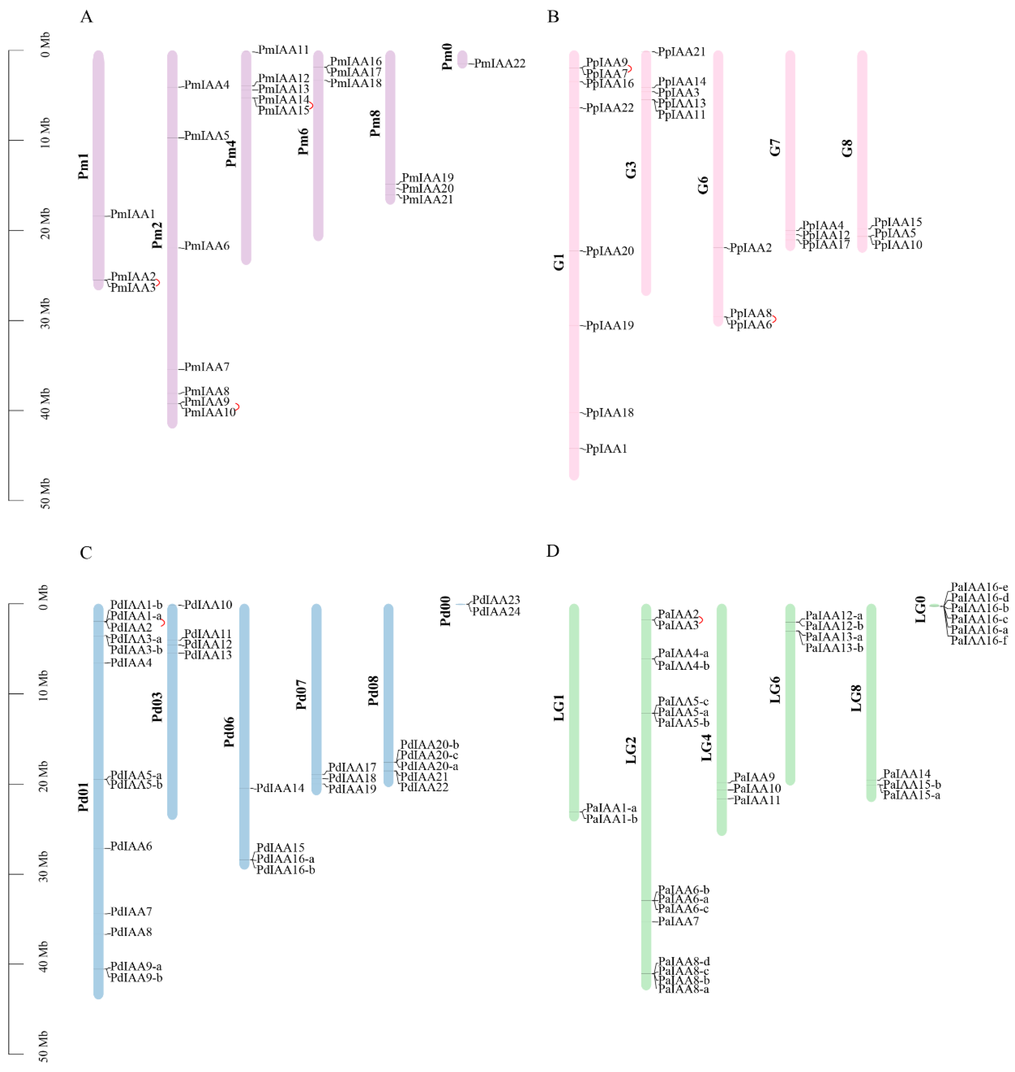 Horticulturae 08 00899 g003 Horticulturae 08 00899 g003