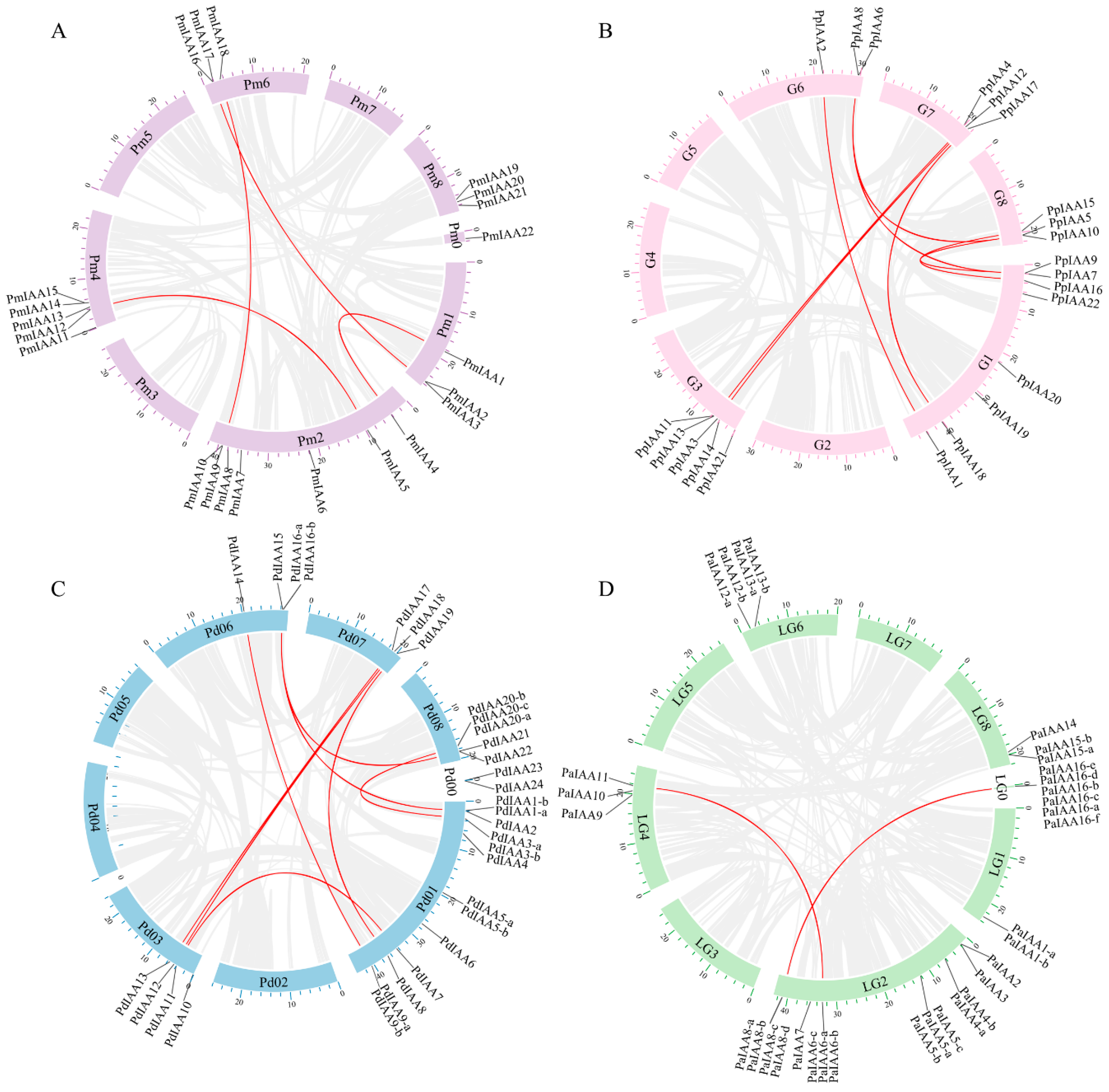 Horticulturae 08 00899 g004 Horticulturae 08 00899 g004