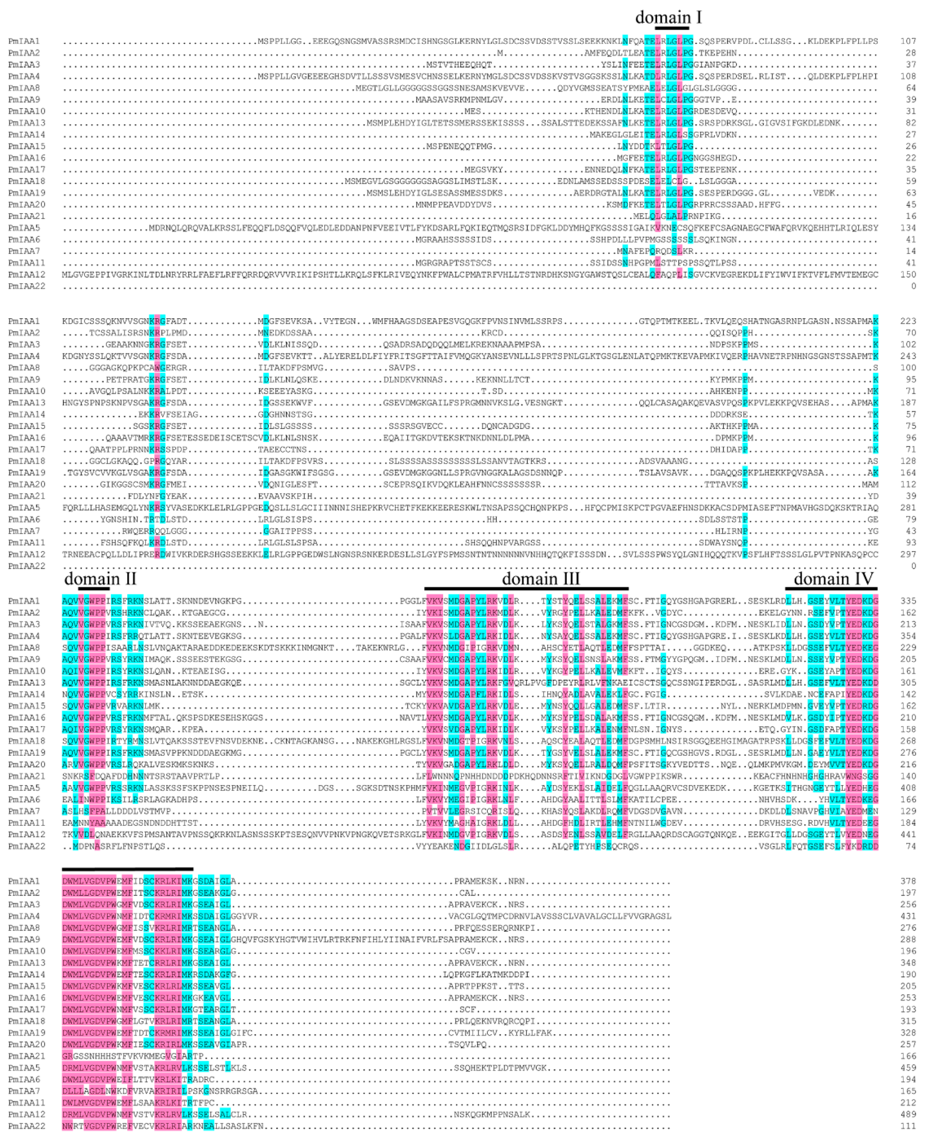 Horticulturae 08 00899 g006 Horticulturae 08 00899 g006