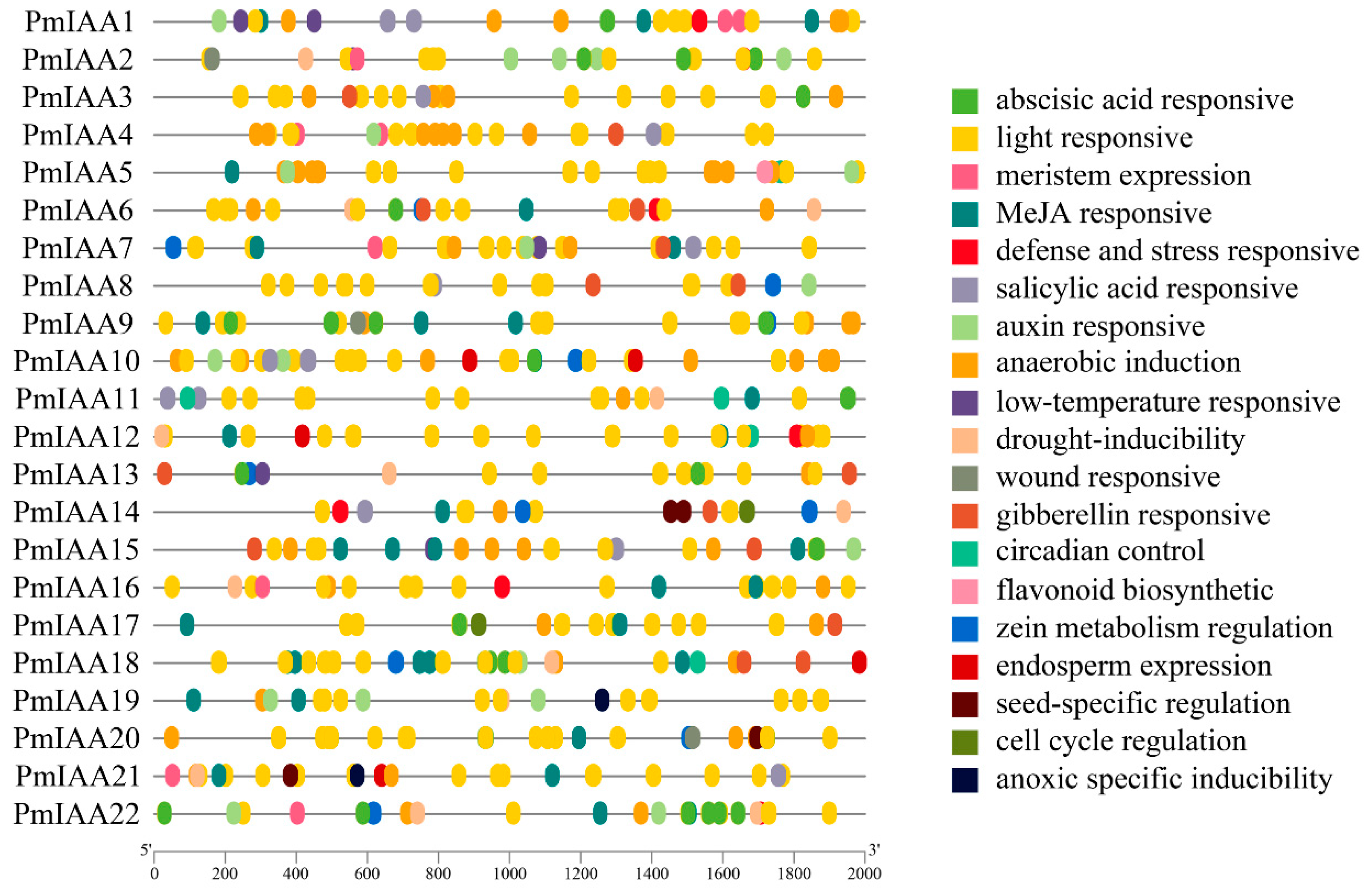 Horticulturae 08 00899 g008 Horticulturae 08 00899 g008