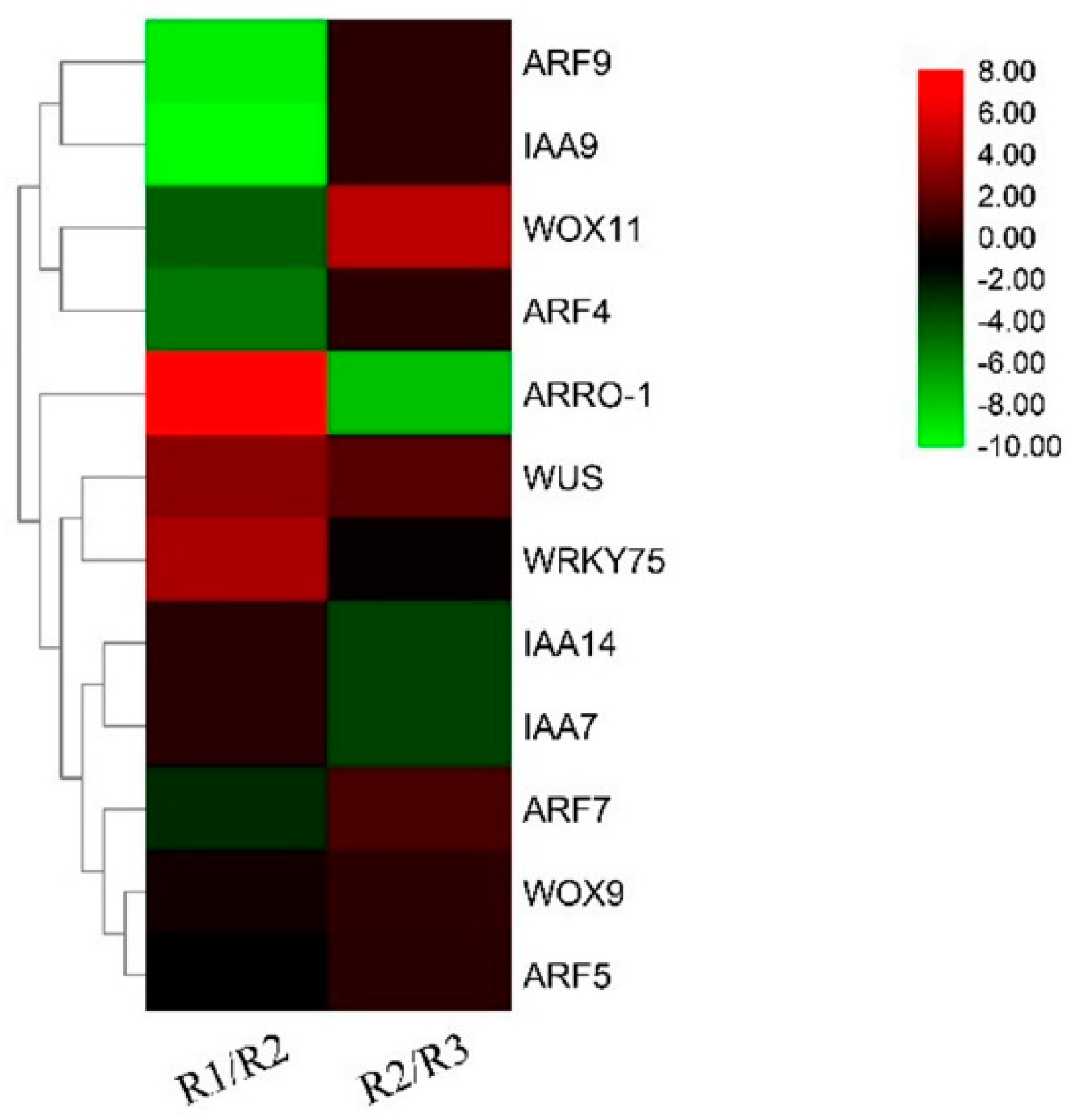 Horticulturae 08 00903 g001 Horticulturae 08 00903 g001