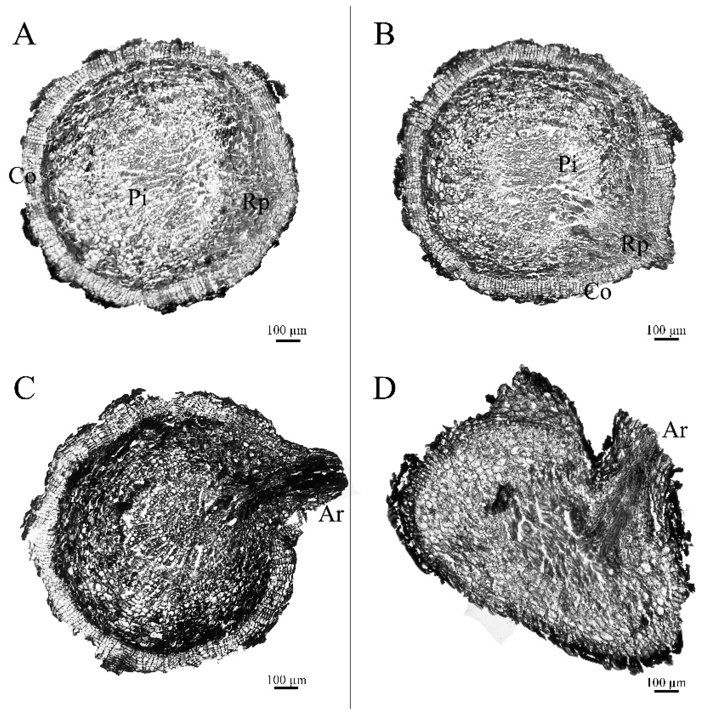 Horticulturae 08 00903 g002 Horticulturae 08 00903 g002