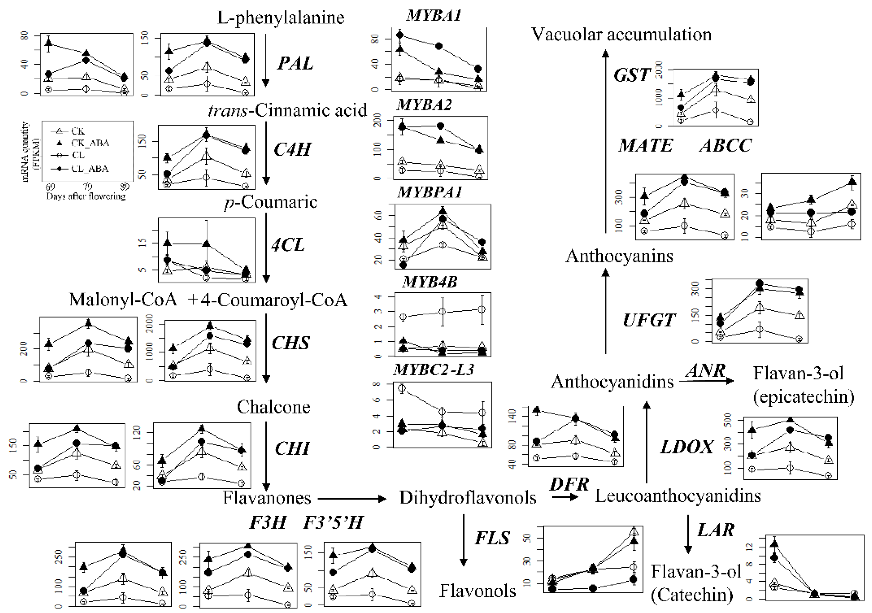 Horticulturae 08 00905 g002 Horticulturae 08 00905 g002