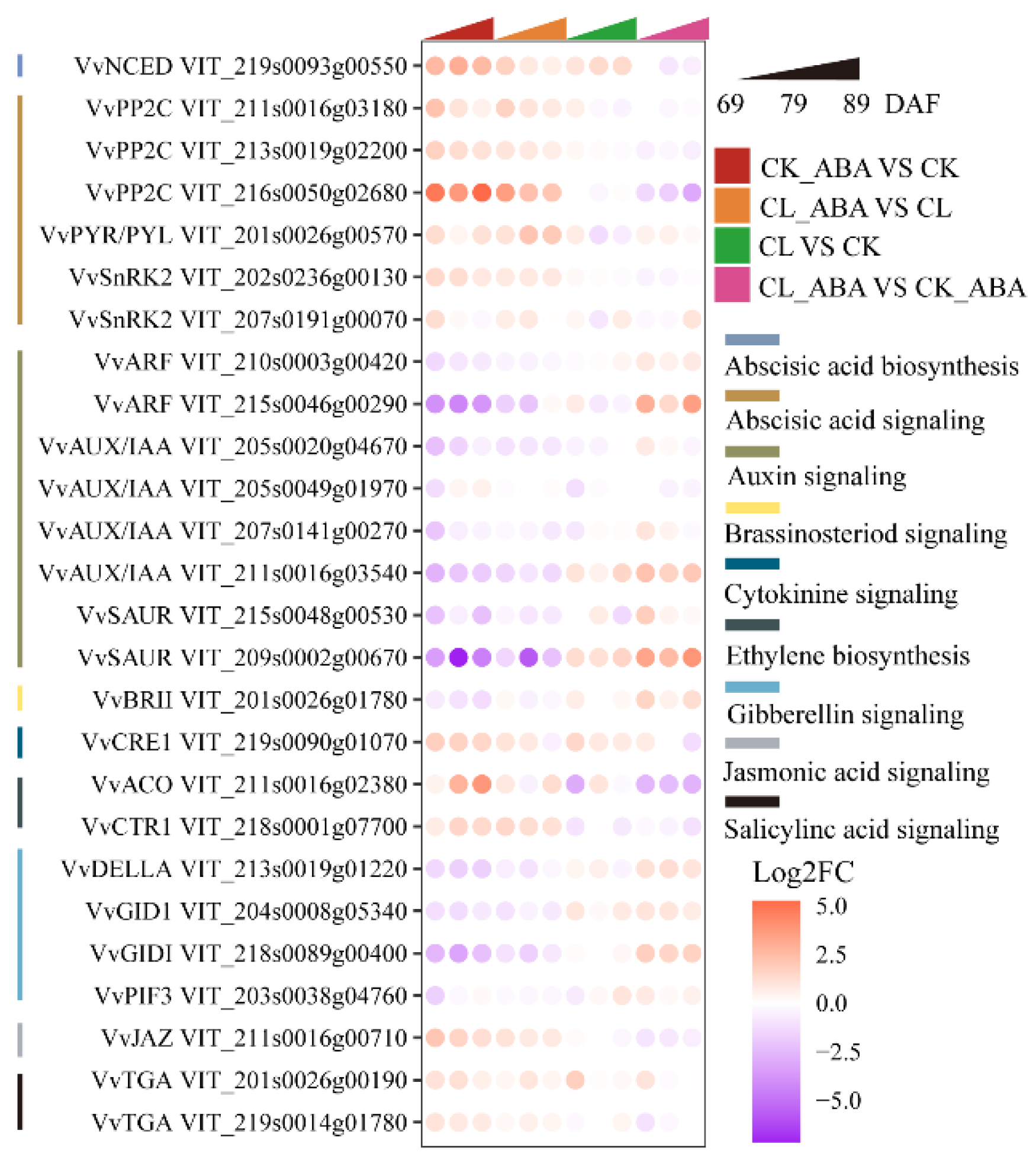 Horticulturae 08 00905 g003 Horticulturae 08 00905 g003