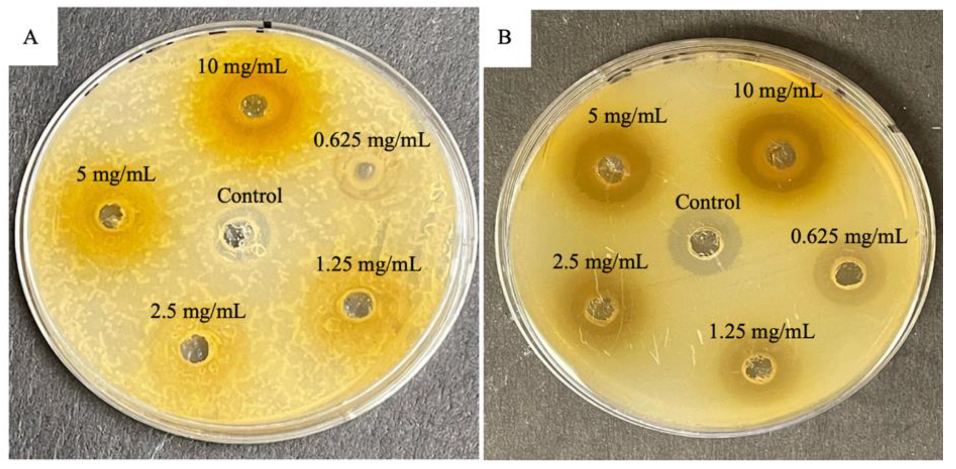 Horticulturae 08 00909 g002 Horticulturae 08 00909 g002