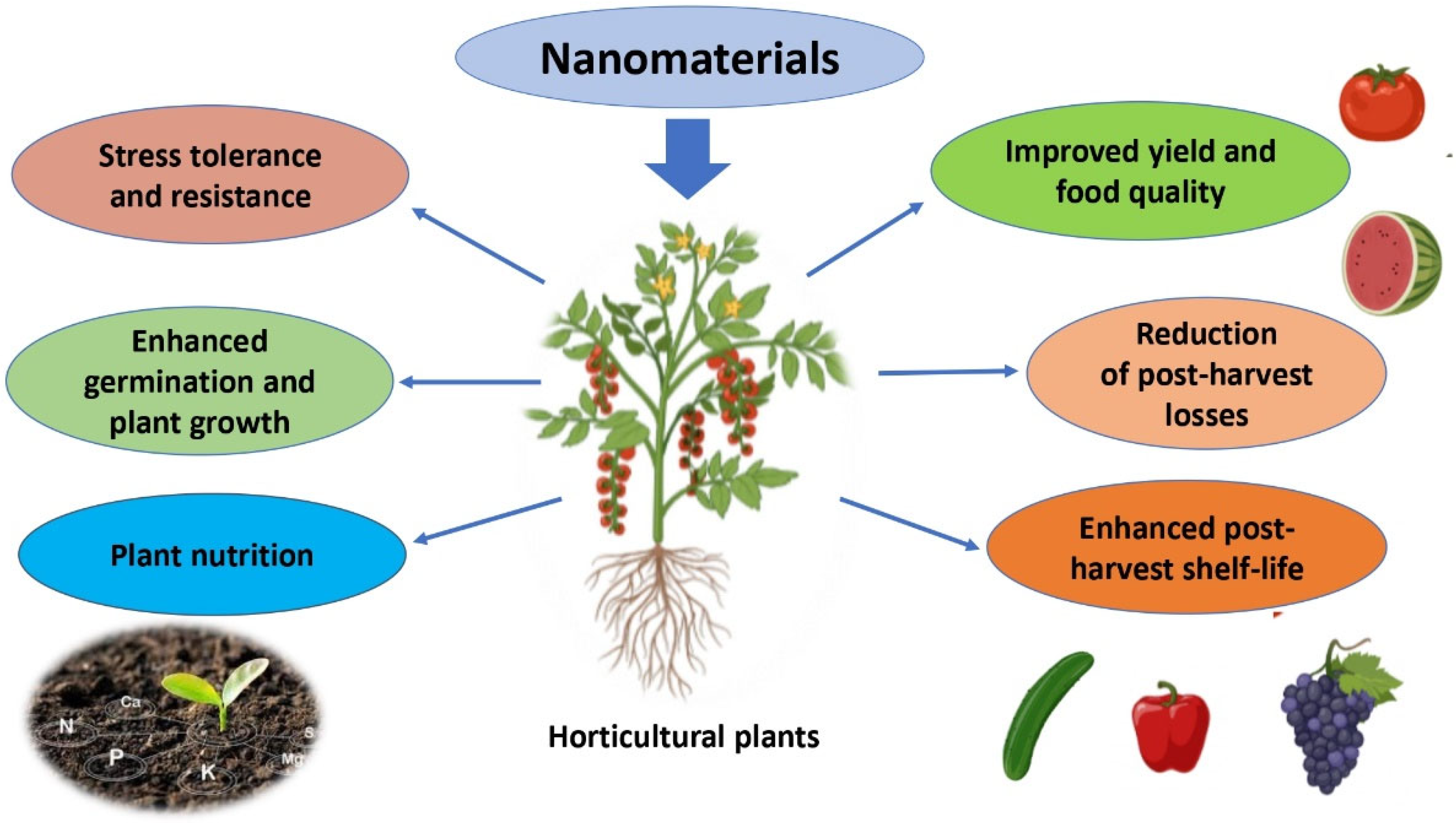 Horticulture Crops