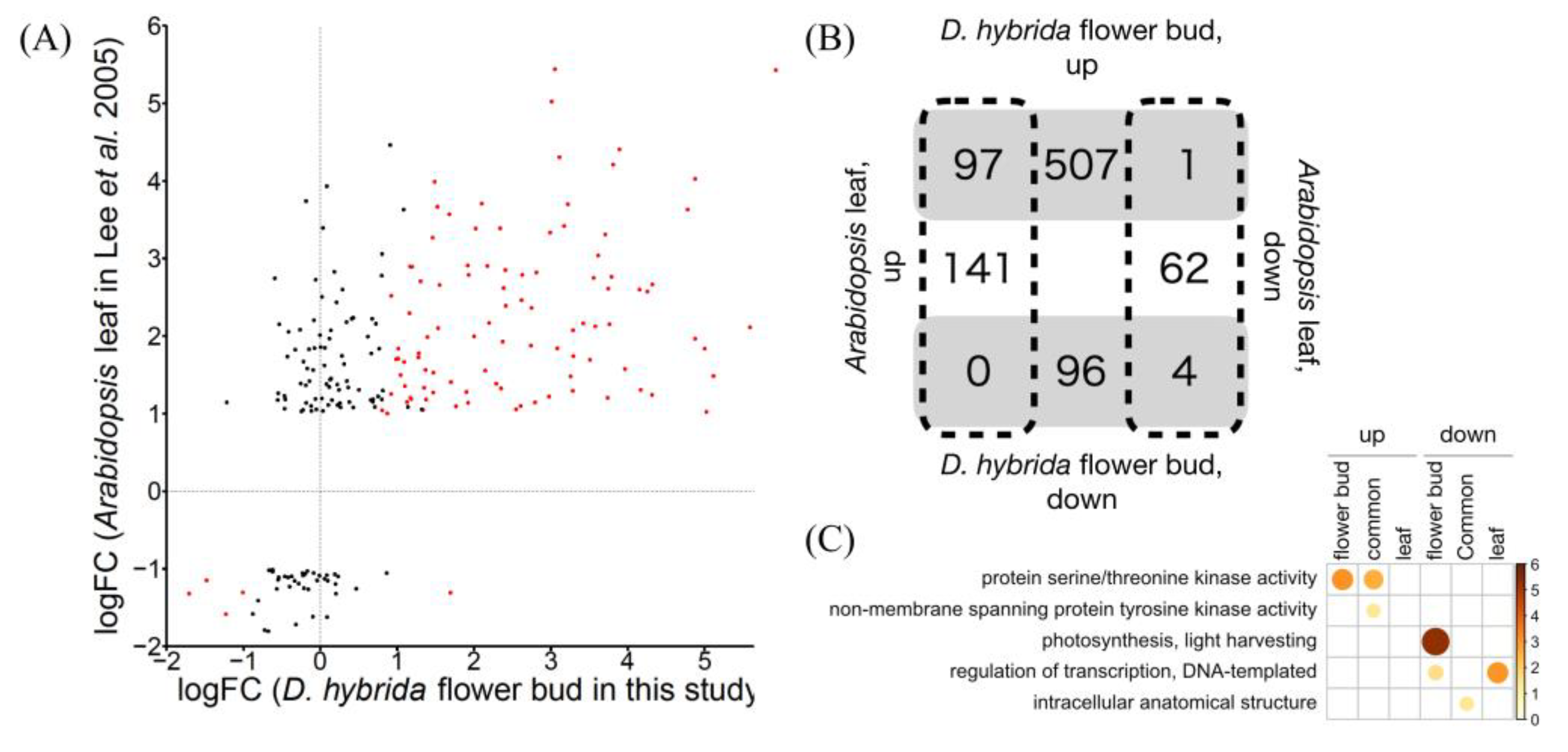 Horticulturae 08 00918 g002 Horticulturae 08 00918 g002