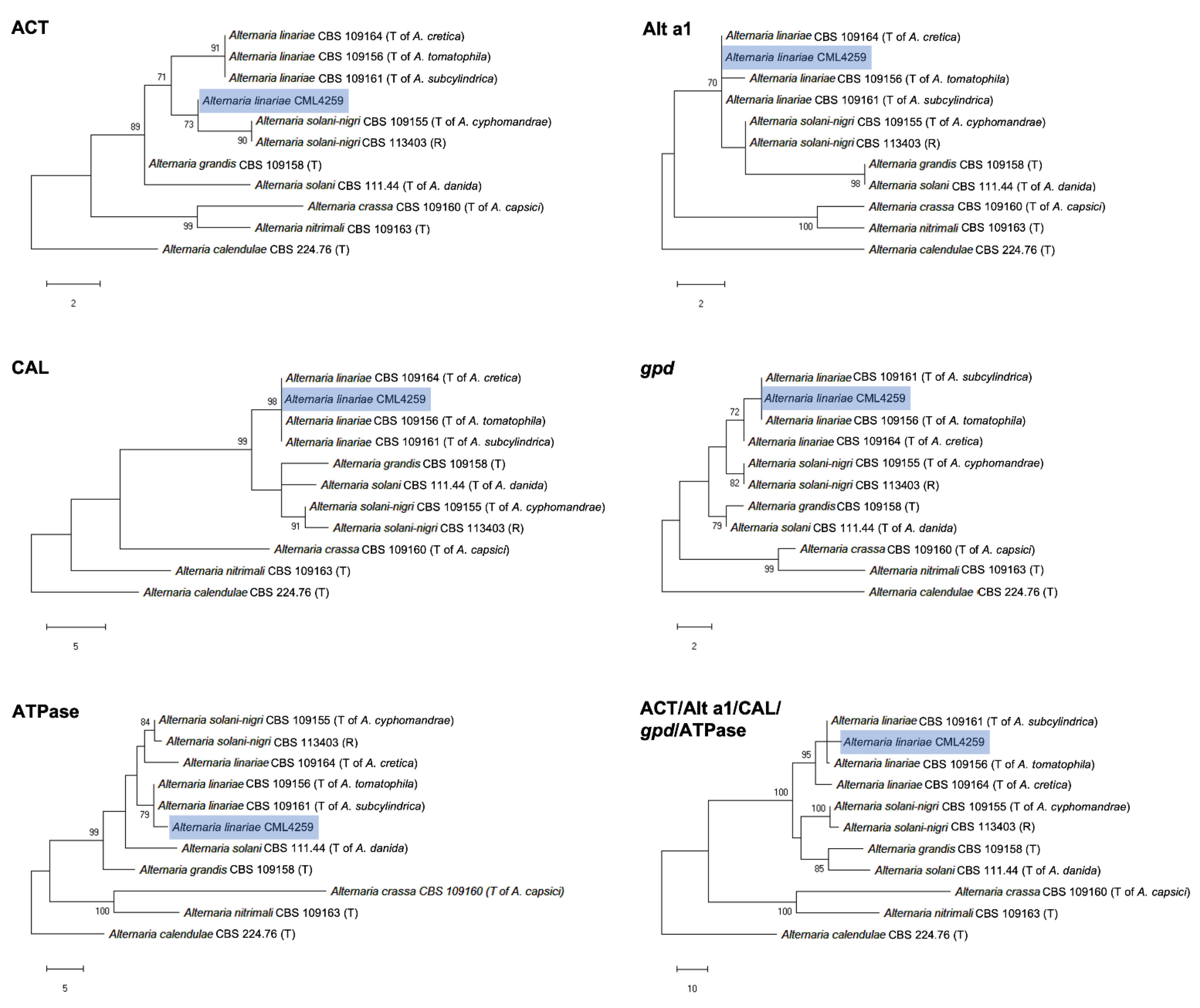 Horticulturae 08 00919 g001 Horticulturae 08 00919 g001