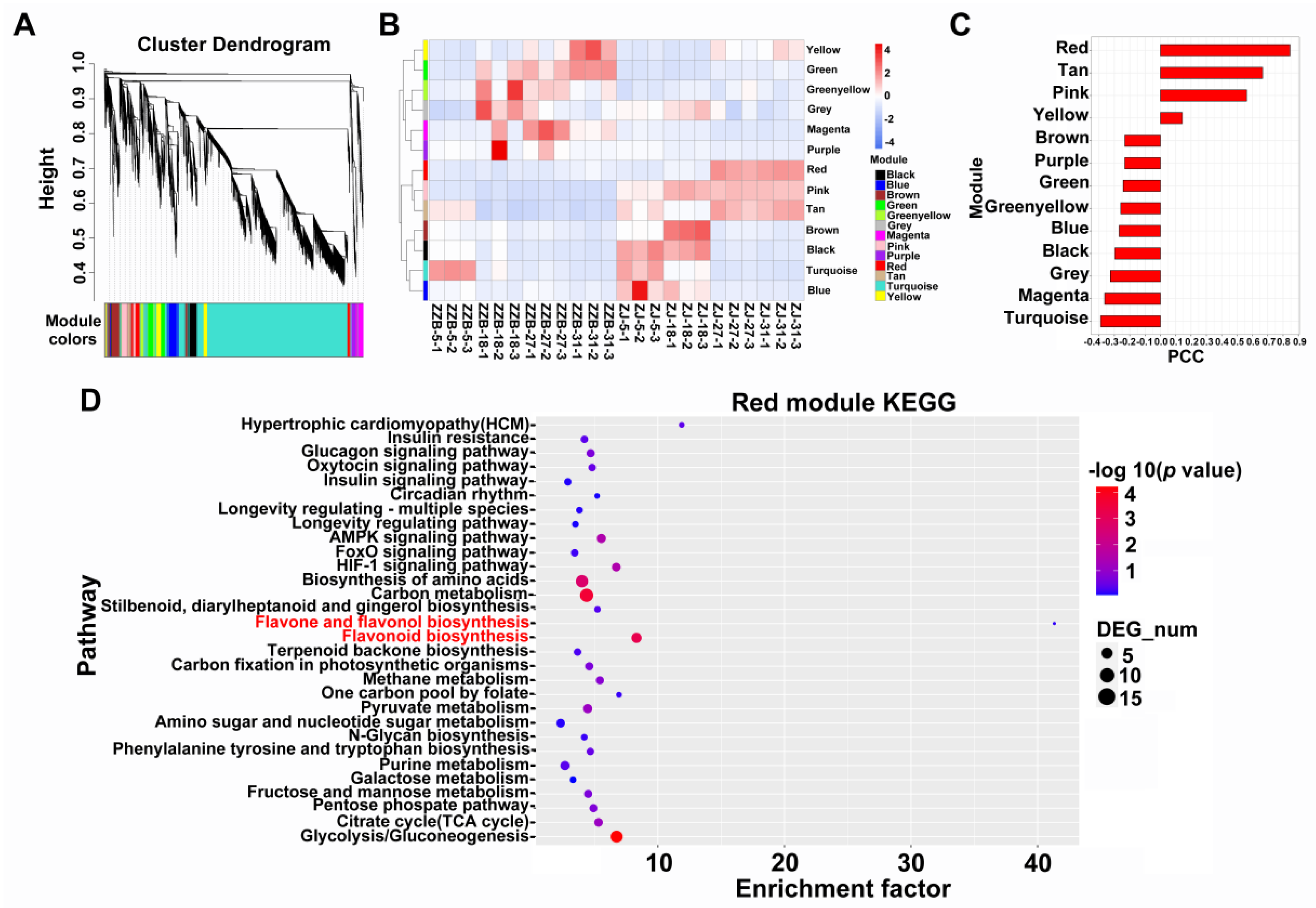 Horticulturae 08 00920 g003 Horticulturae 08 00920 g003