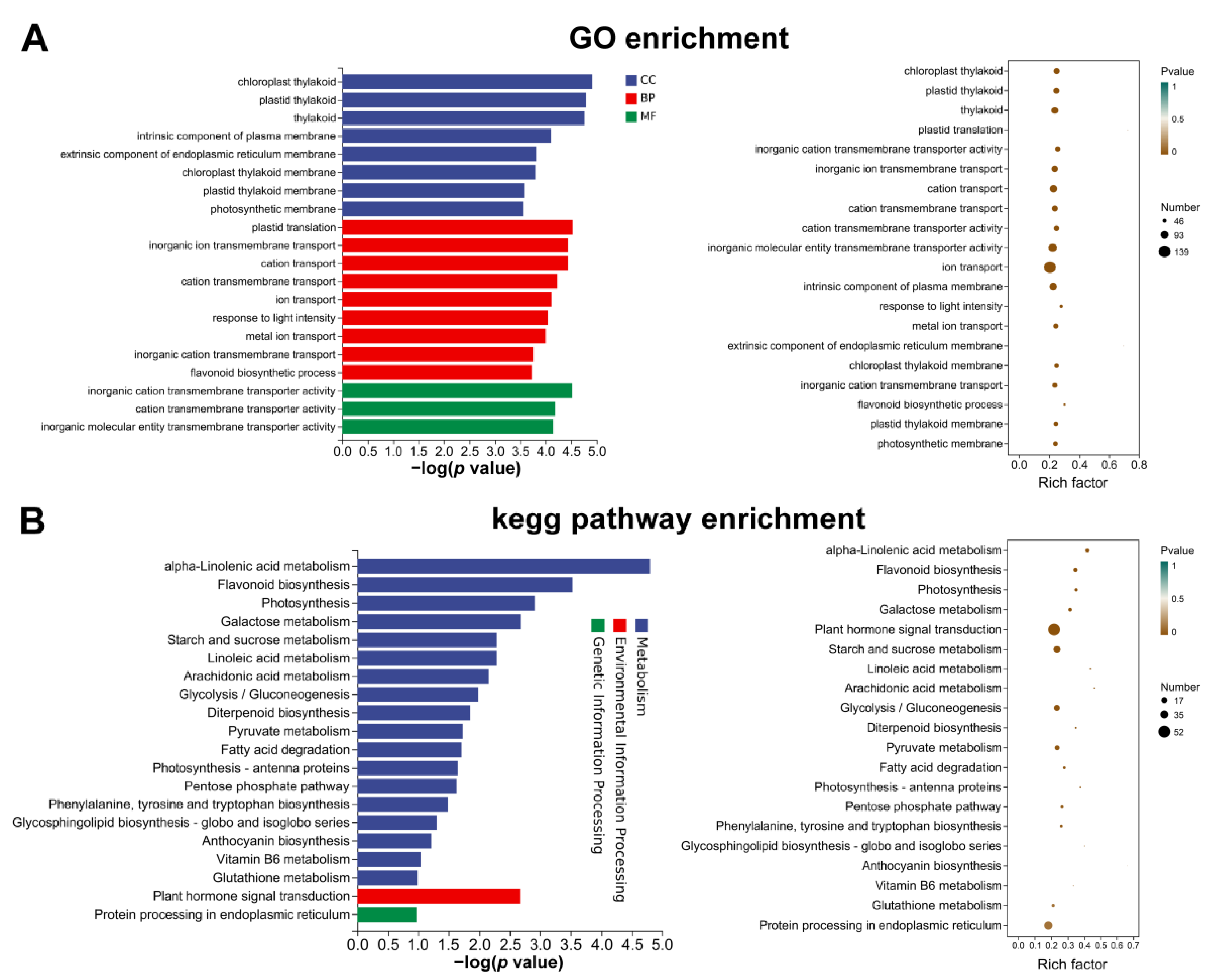 Horticulturae 08 00920 g005 Horticulturae 08 00920 g005