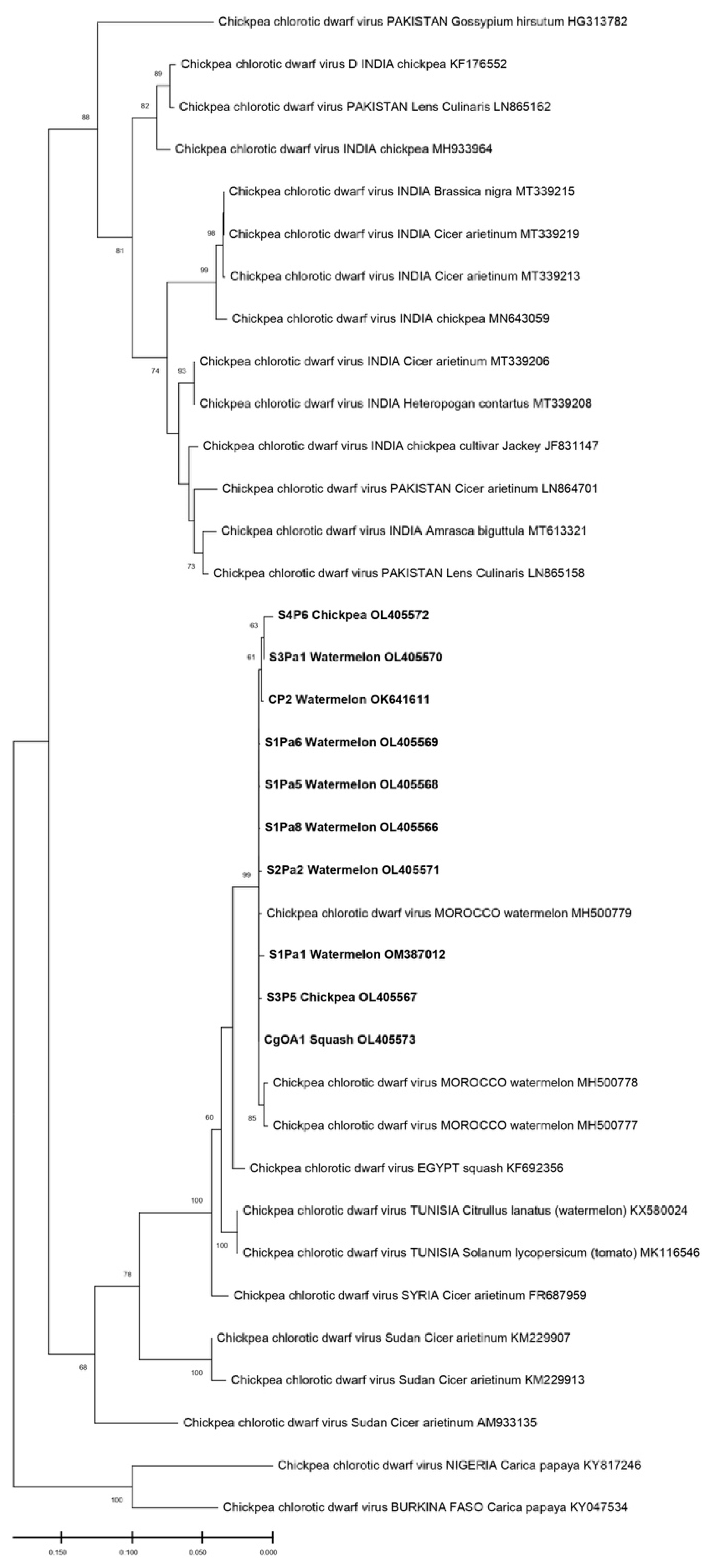 Horticulturae 08 00927 g004 Horticulturae 08 00927 g004