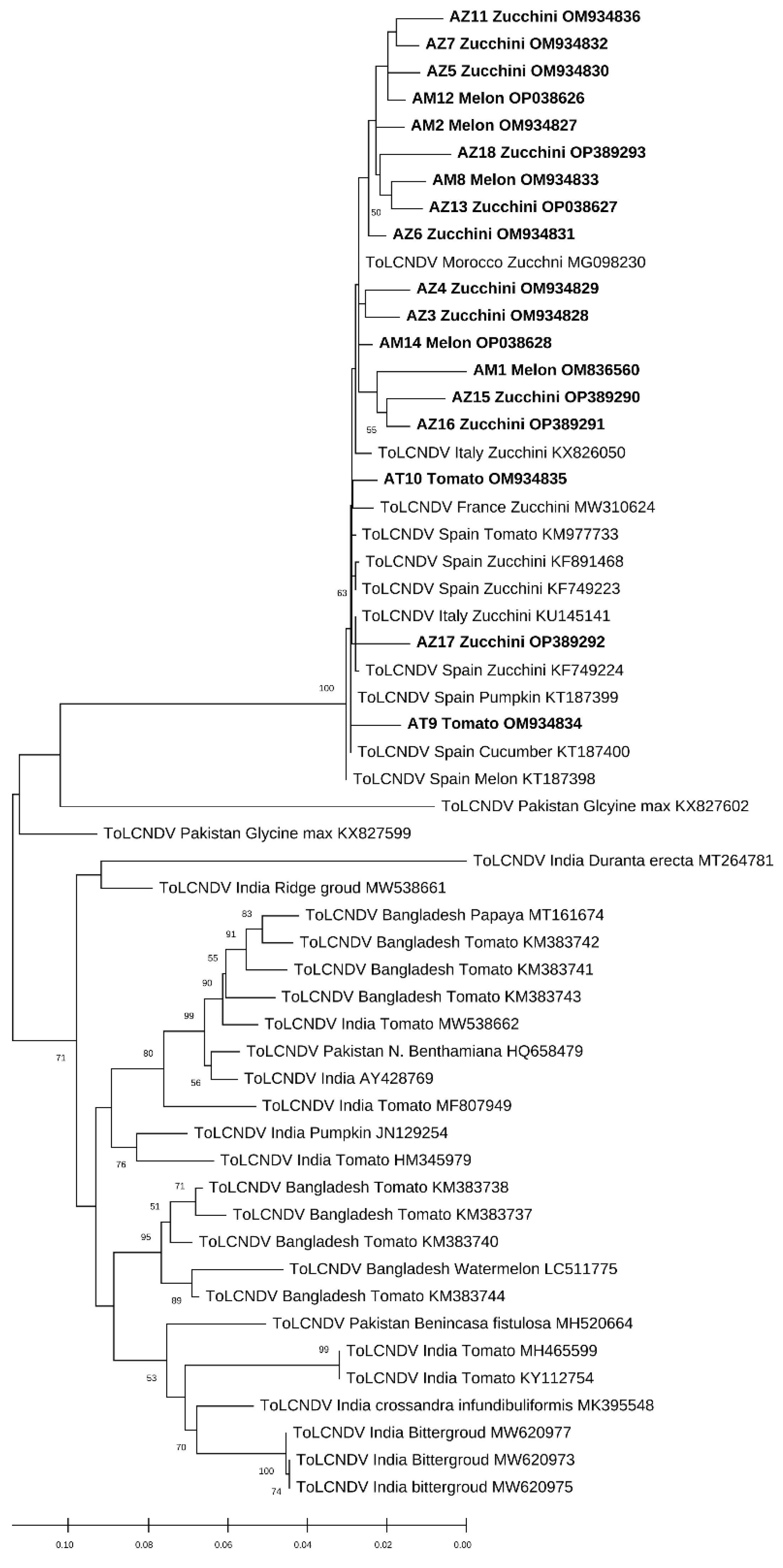 Horticulturae 08 00927 g005 Horticulturae 08 00927 g005