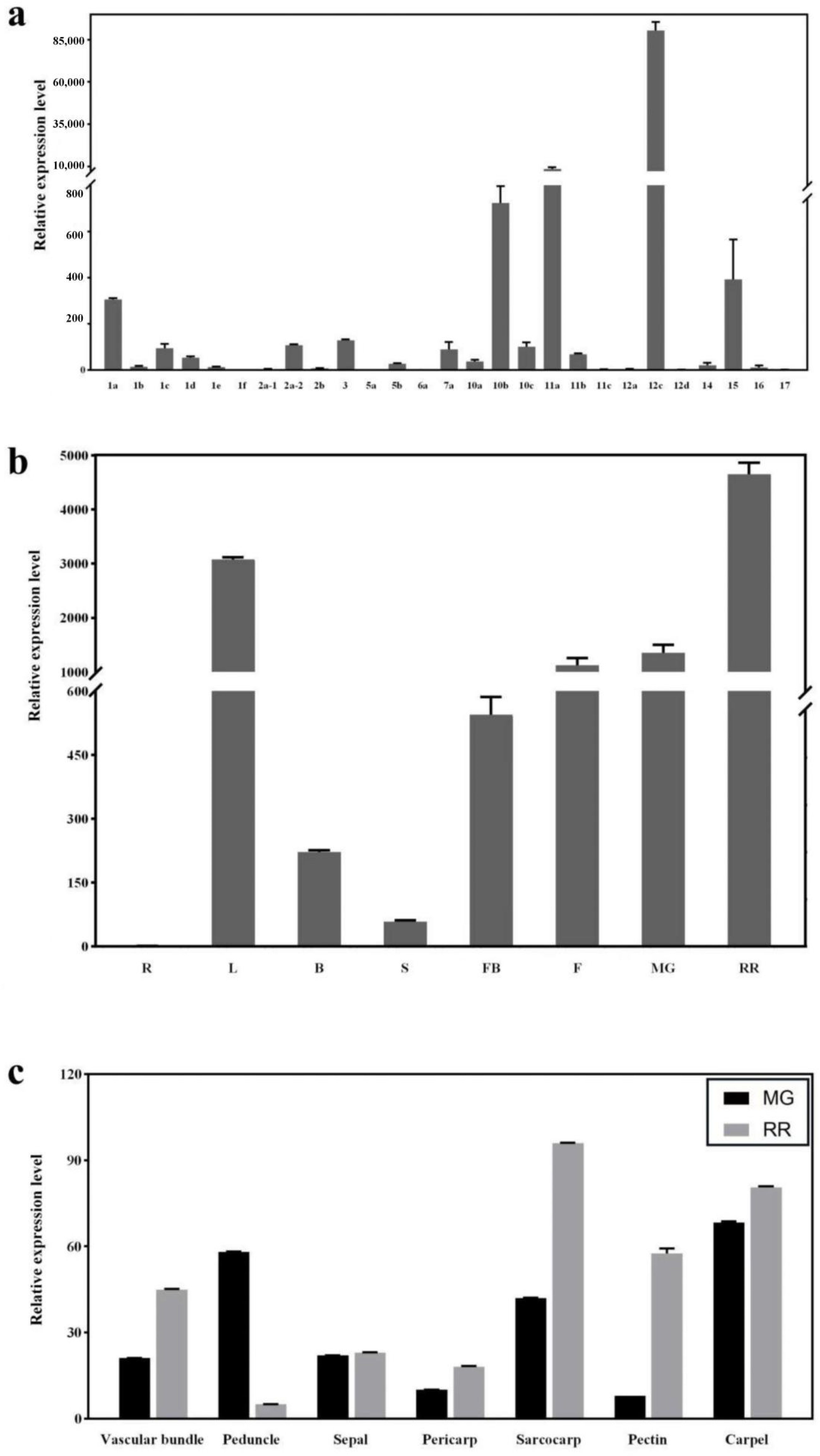 Horticulturae 08 00935 g001 Horticulturae 08 00935 g001