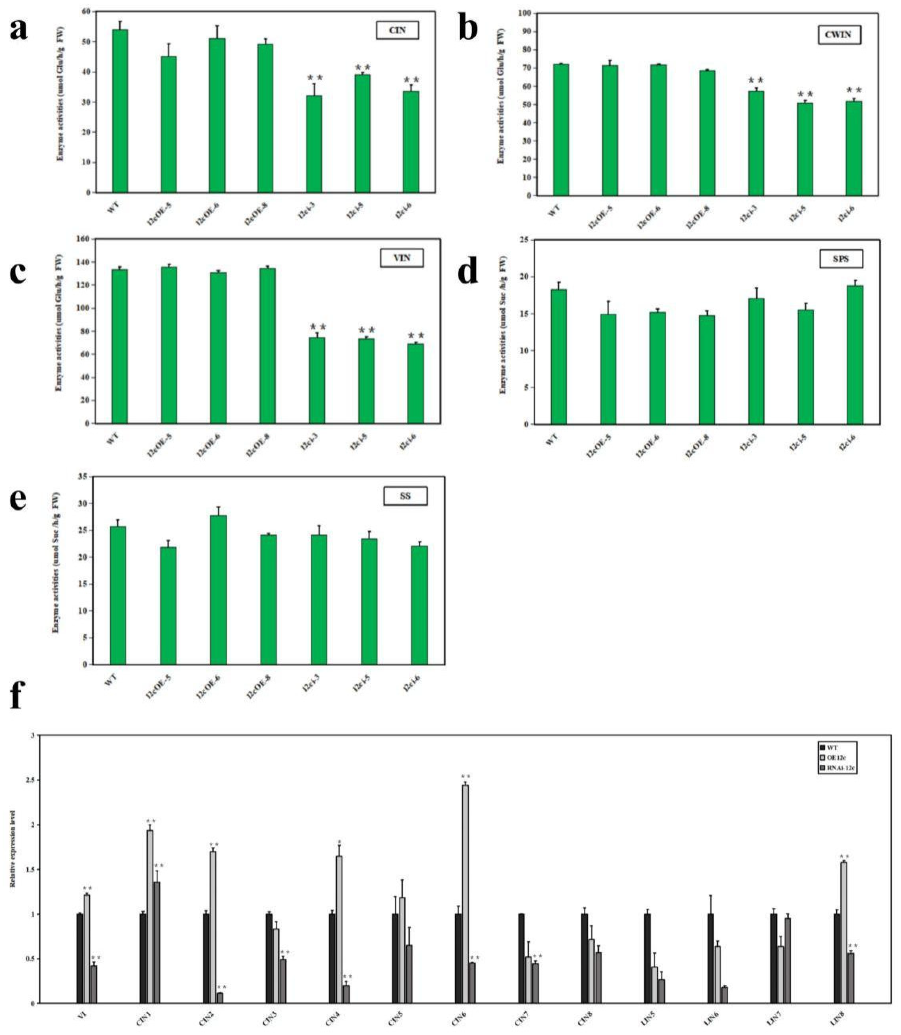 Horticulturae 08 00935 g007 Horticulturae 08 00935 g007