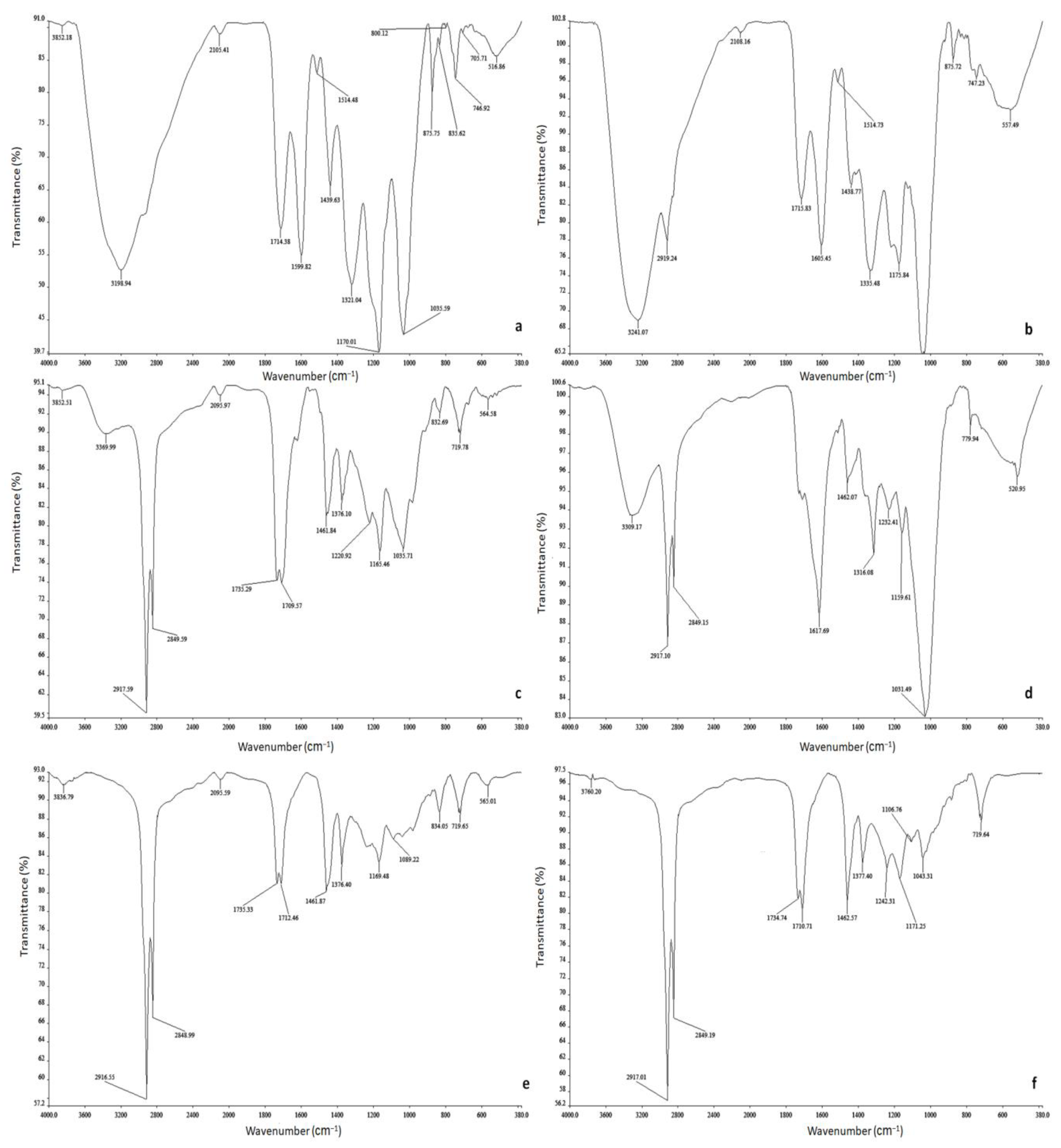 Horticulturae 08 00945 g006