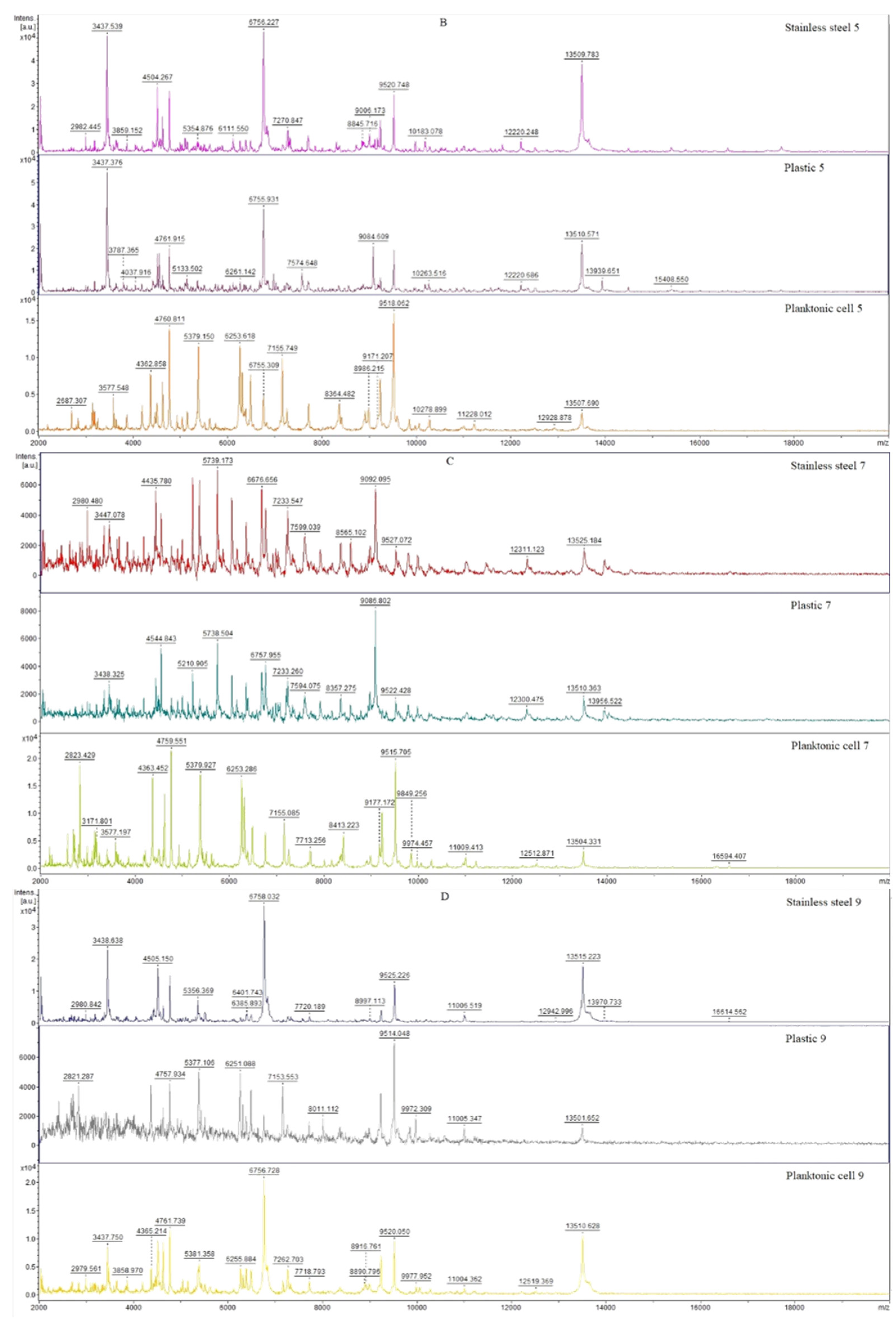 Horticulturae 08 00953 g001b