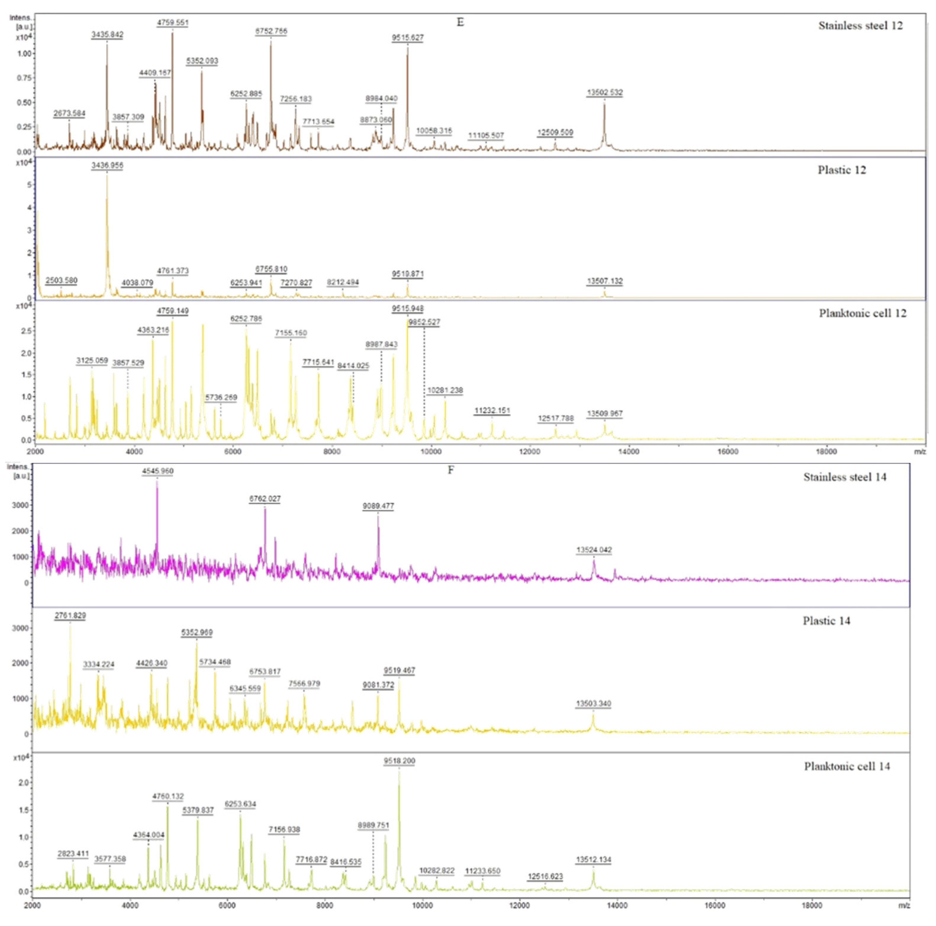Horticulturae 08 00953 g001c