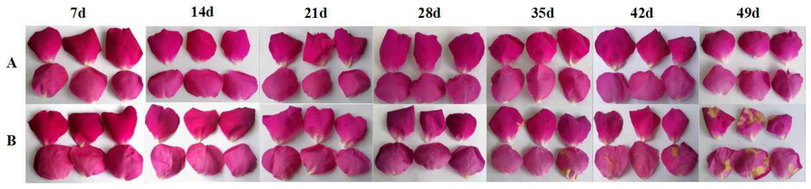 Horticulturae 08 00954 g002 Horticulturae 08 00954 g002