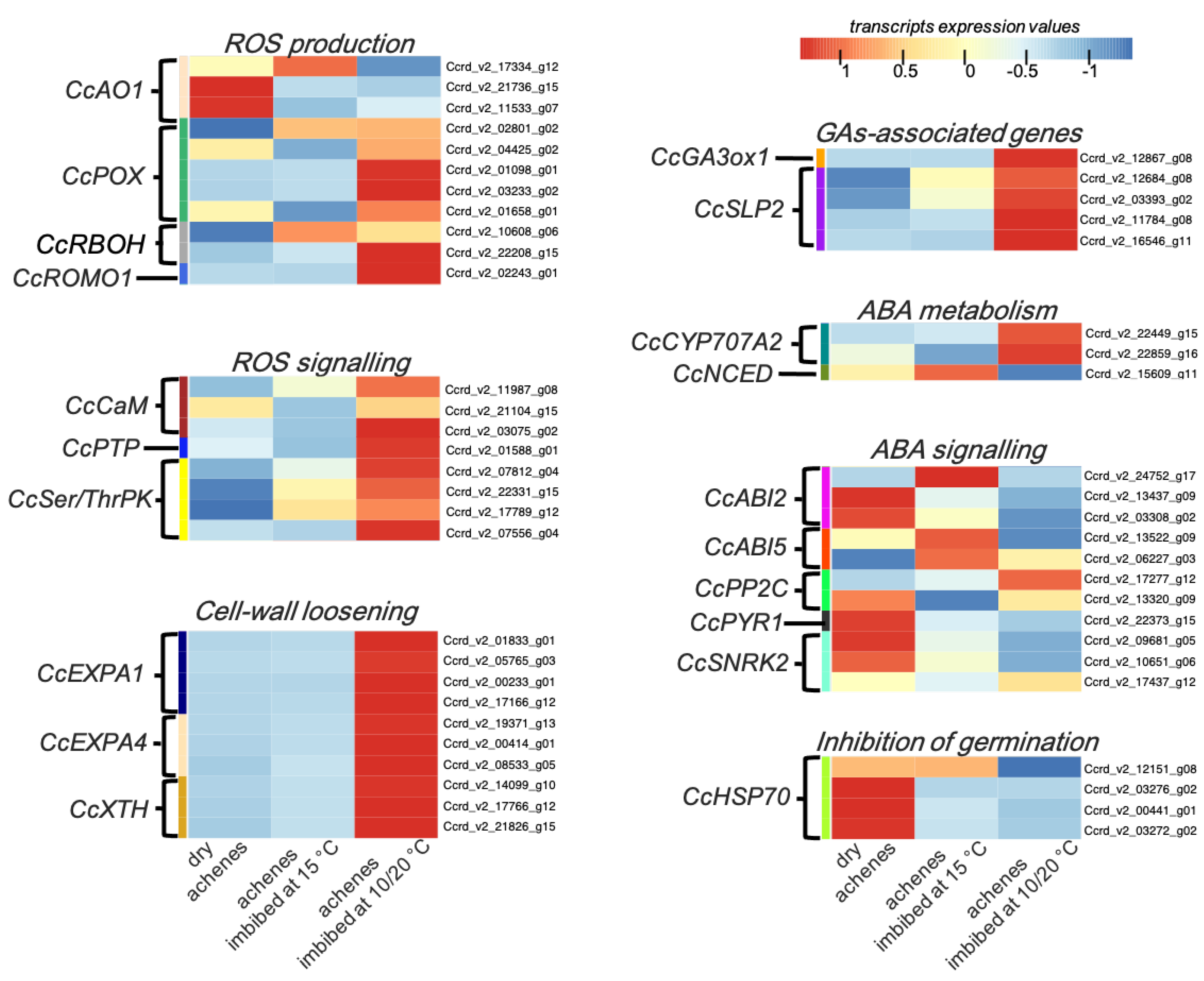 Horticulturae 08 00960 g004 Horticulturae 08 00960 g004
