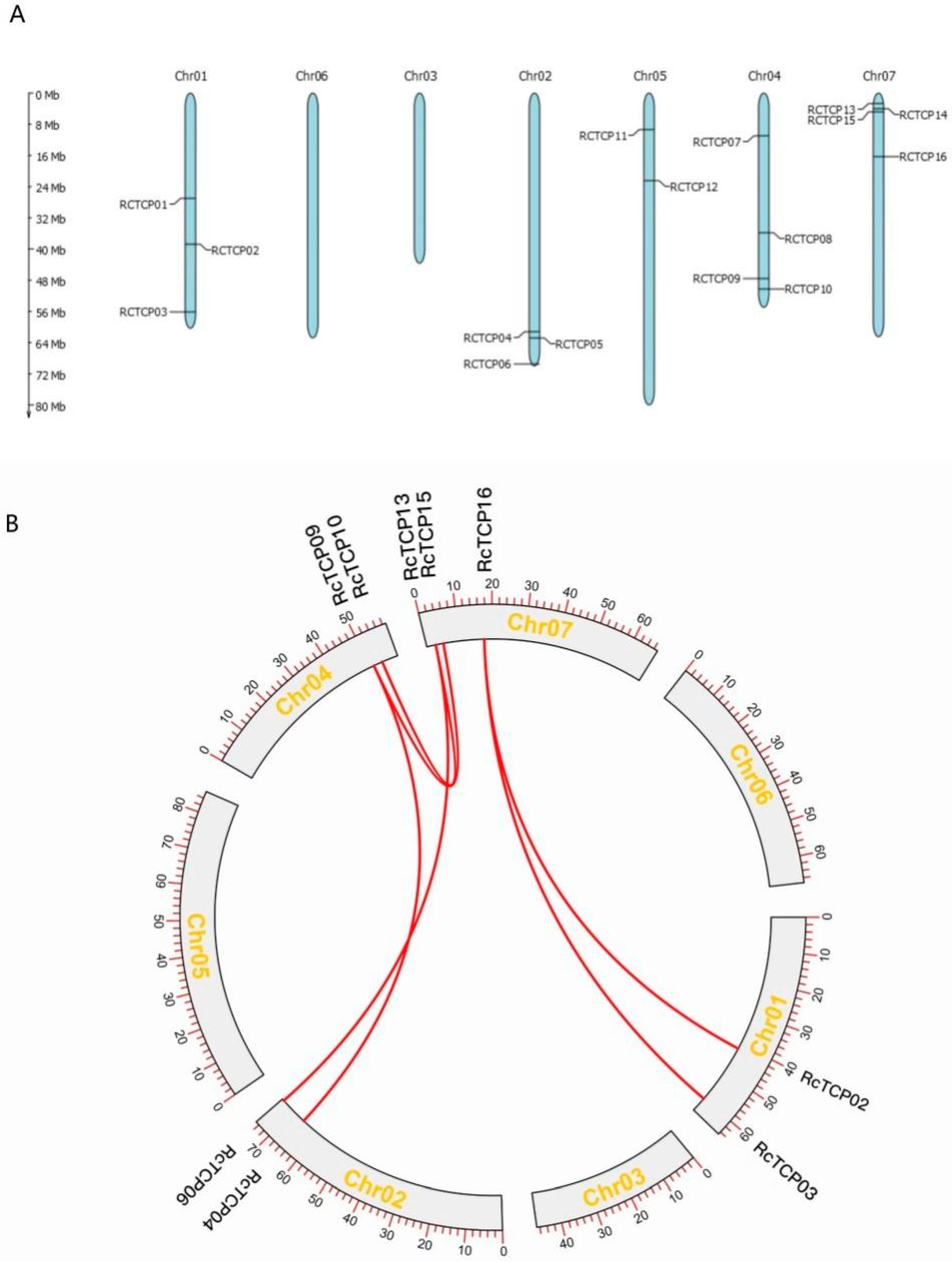 Horticulturae 08 00961 g001