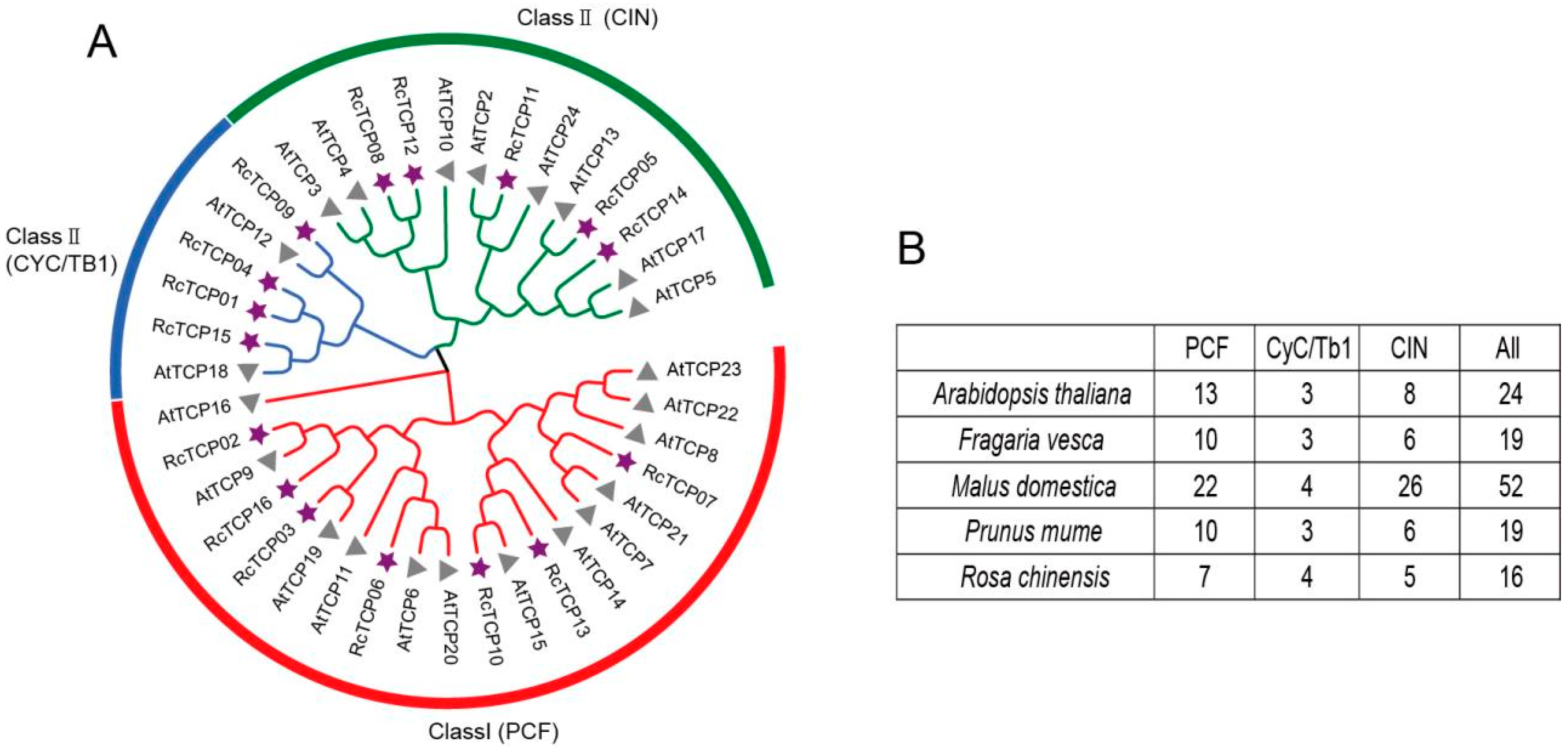 Horticulturae 08 00961 g002