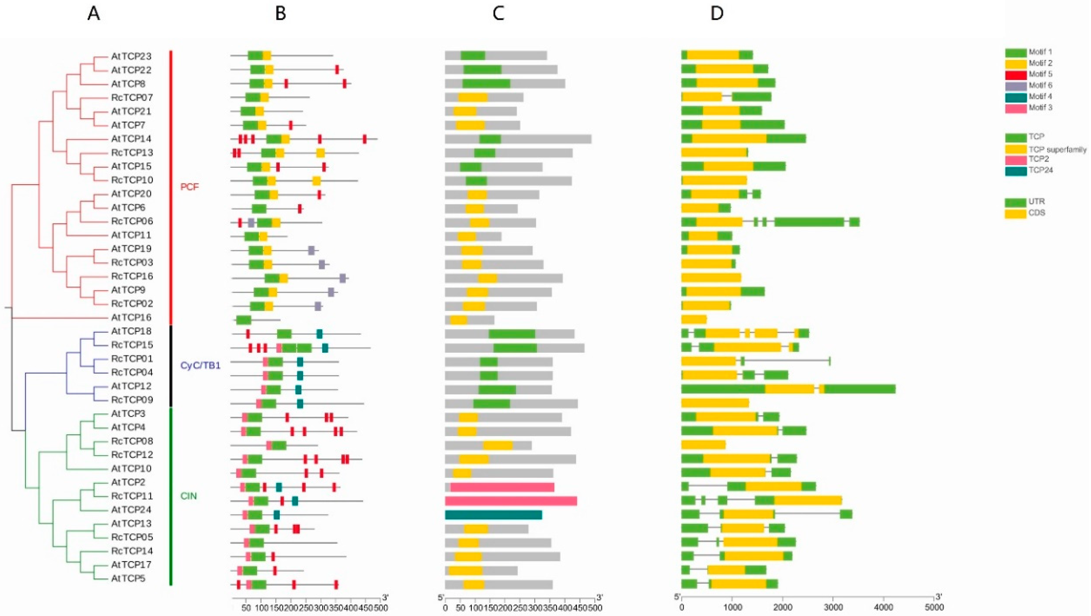 Horticulturae 08 00961 g003