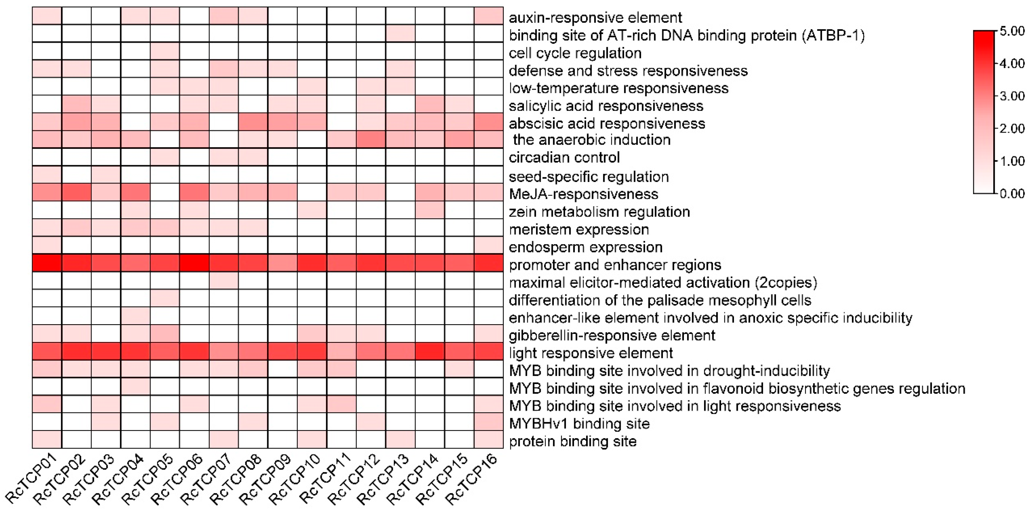 Horticulturae 08 00961 g004