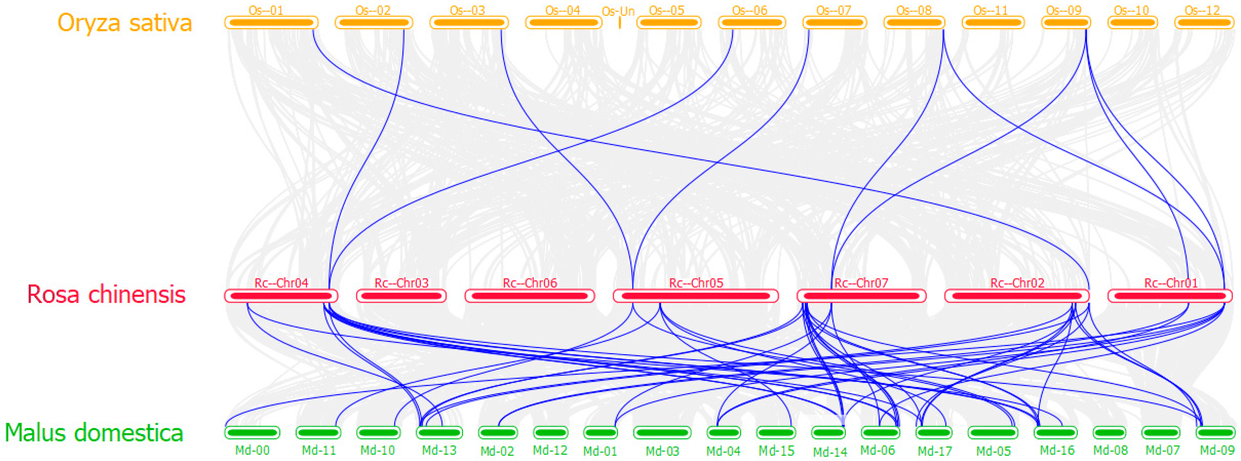 Horticulturae 08 00961 g005