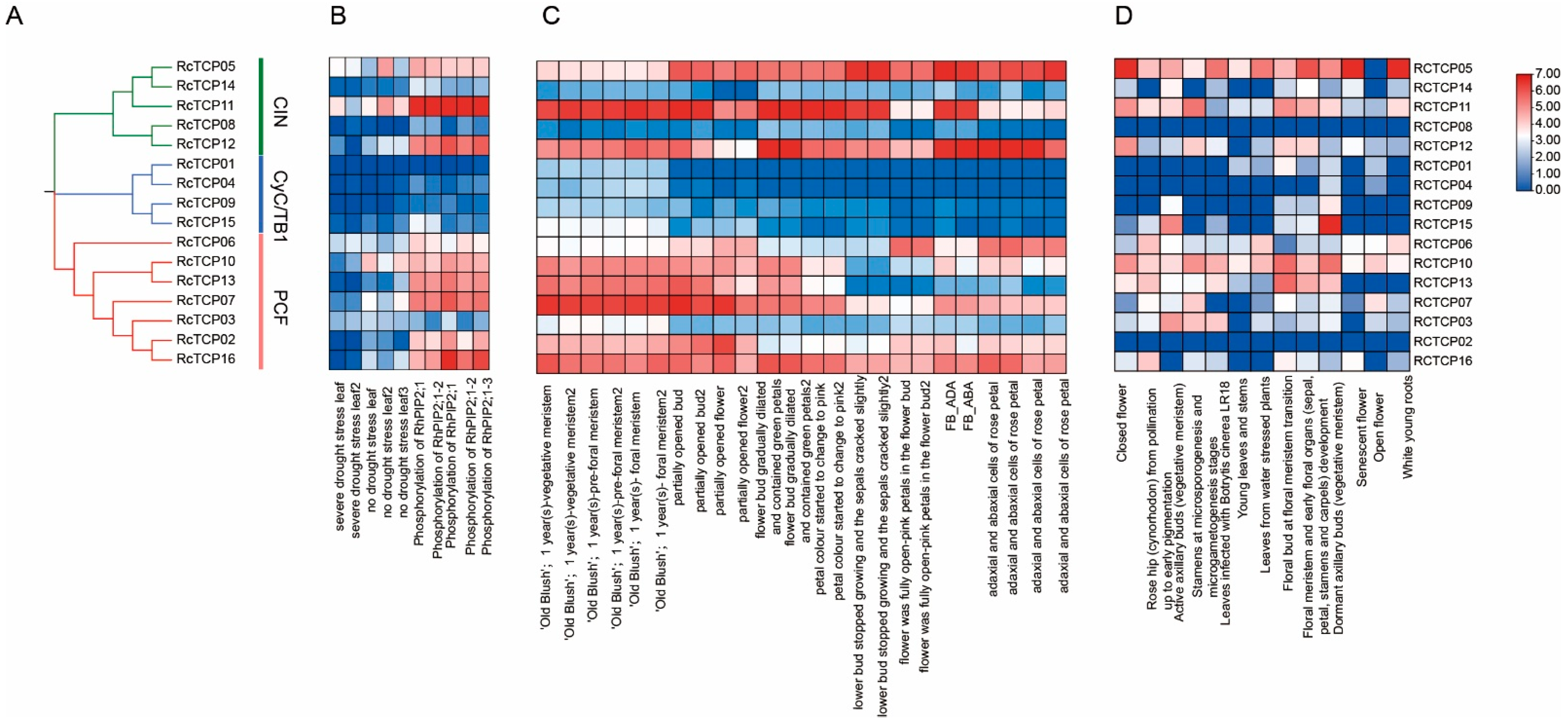 Horticulturae 08 00961 g006