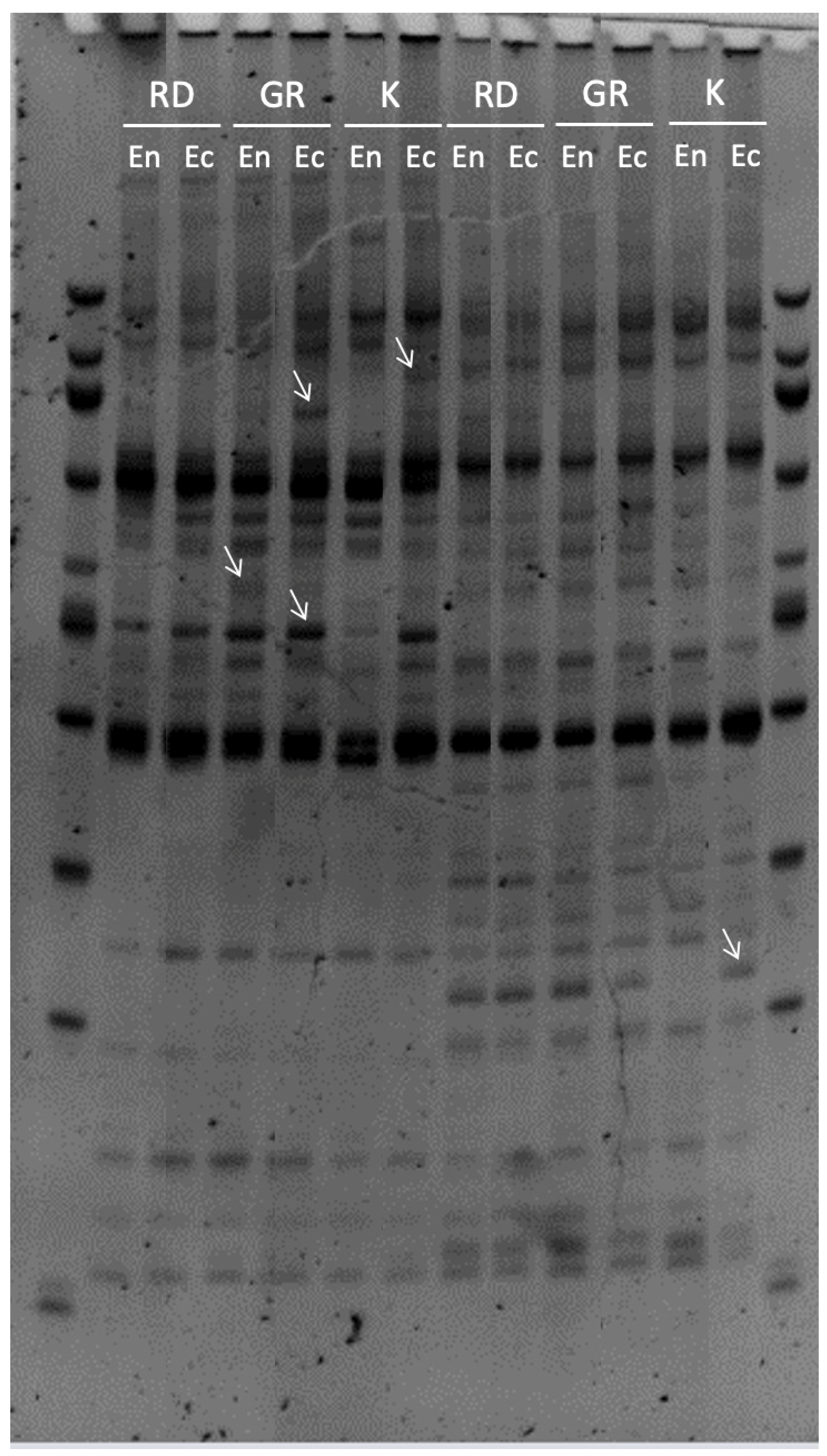 Horticulturae 08 00962 g001