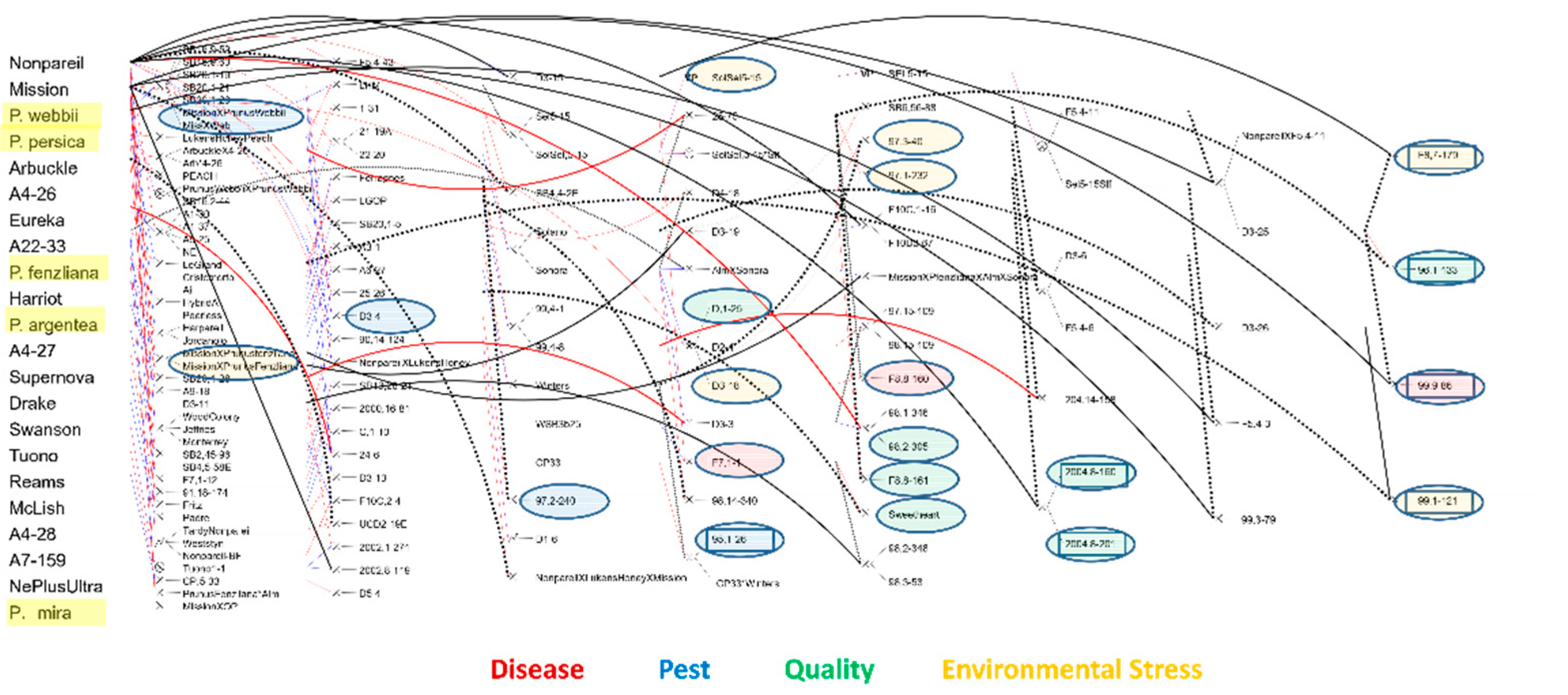 Horticulturae 08 00965 g005 Horticulturae 08 00965 g005