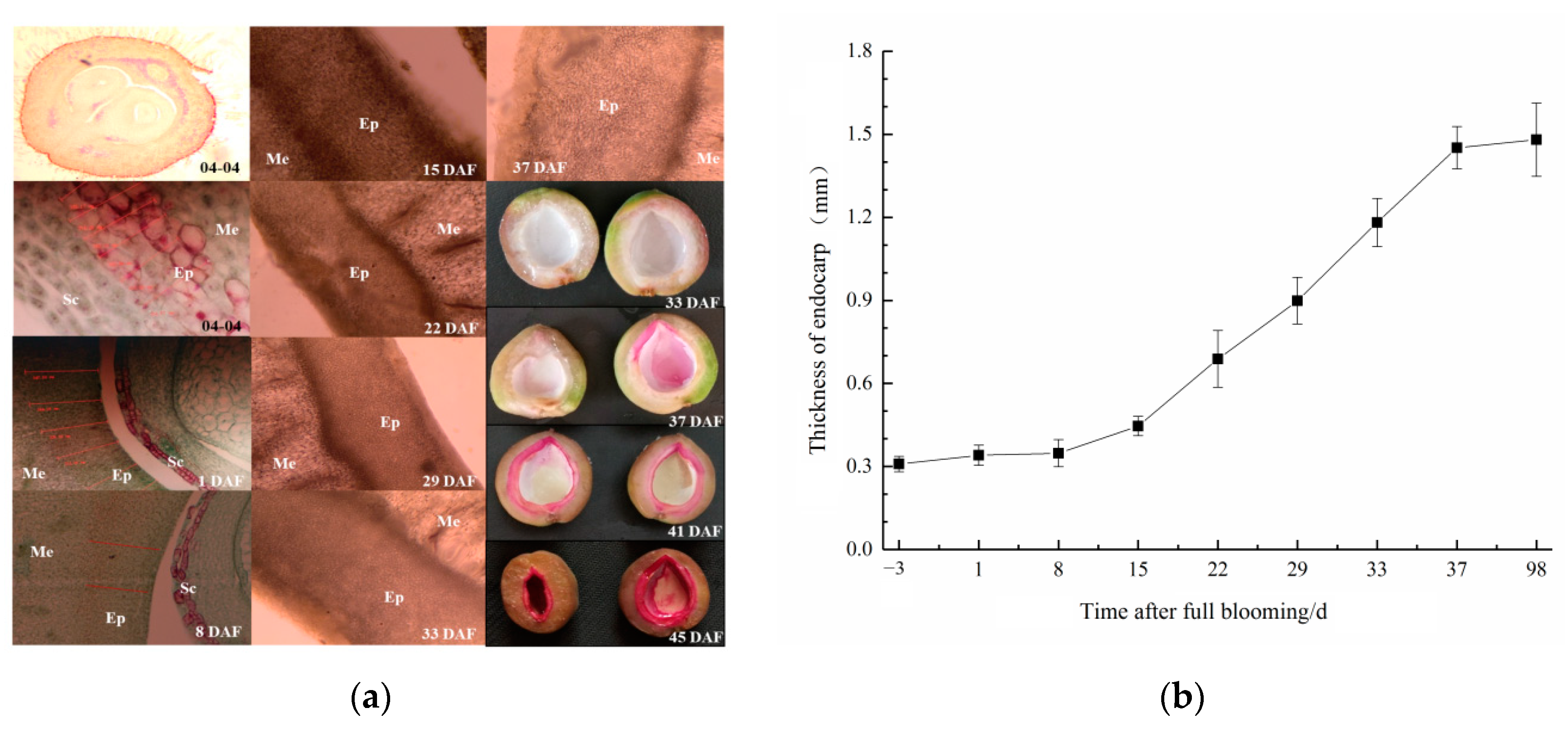 Horticulturae 08 00967 g001 Horticulturae 08 00967 g001