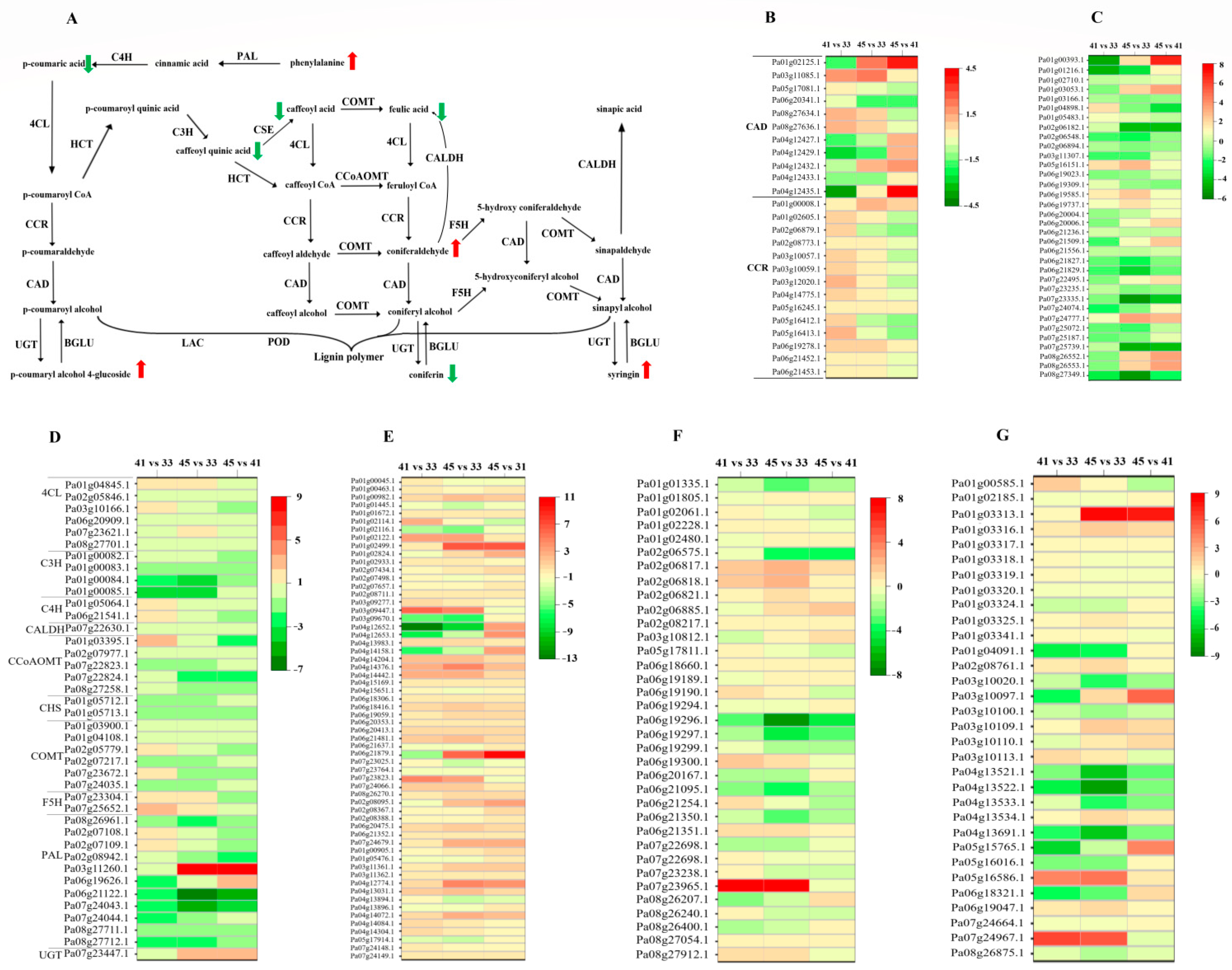 Horticulturae 08 00967 g006 Horticulturae 08 00967 g006