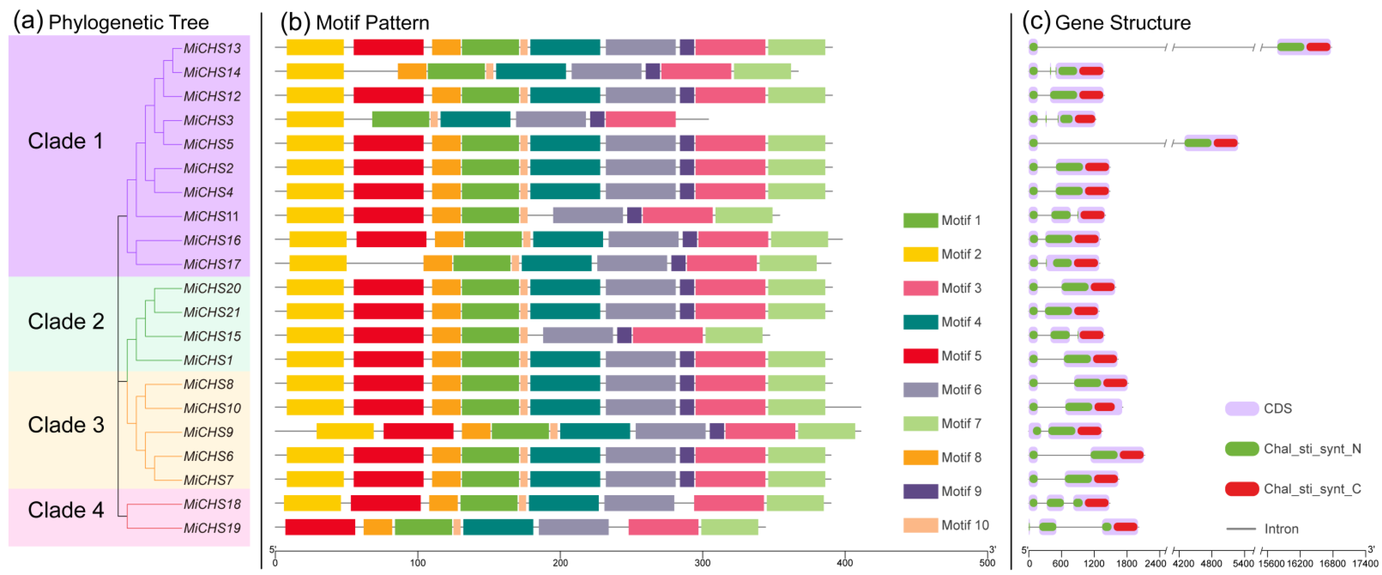 Horticulturae 08 00968 g002 Horticulturae 08 00968 g002