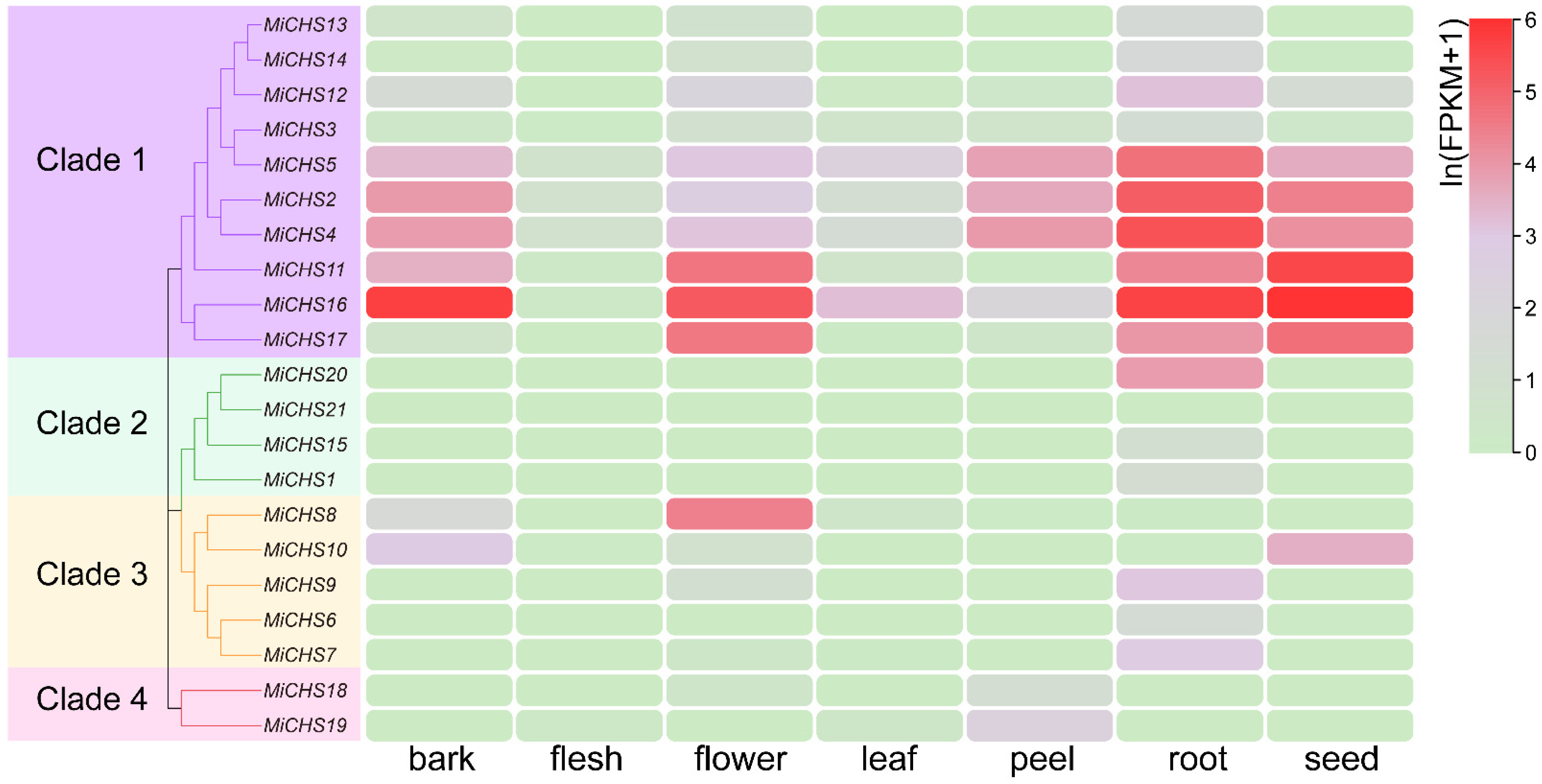 Horticulturae 08 00968 g004 Horticulturae 08 00968 g004