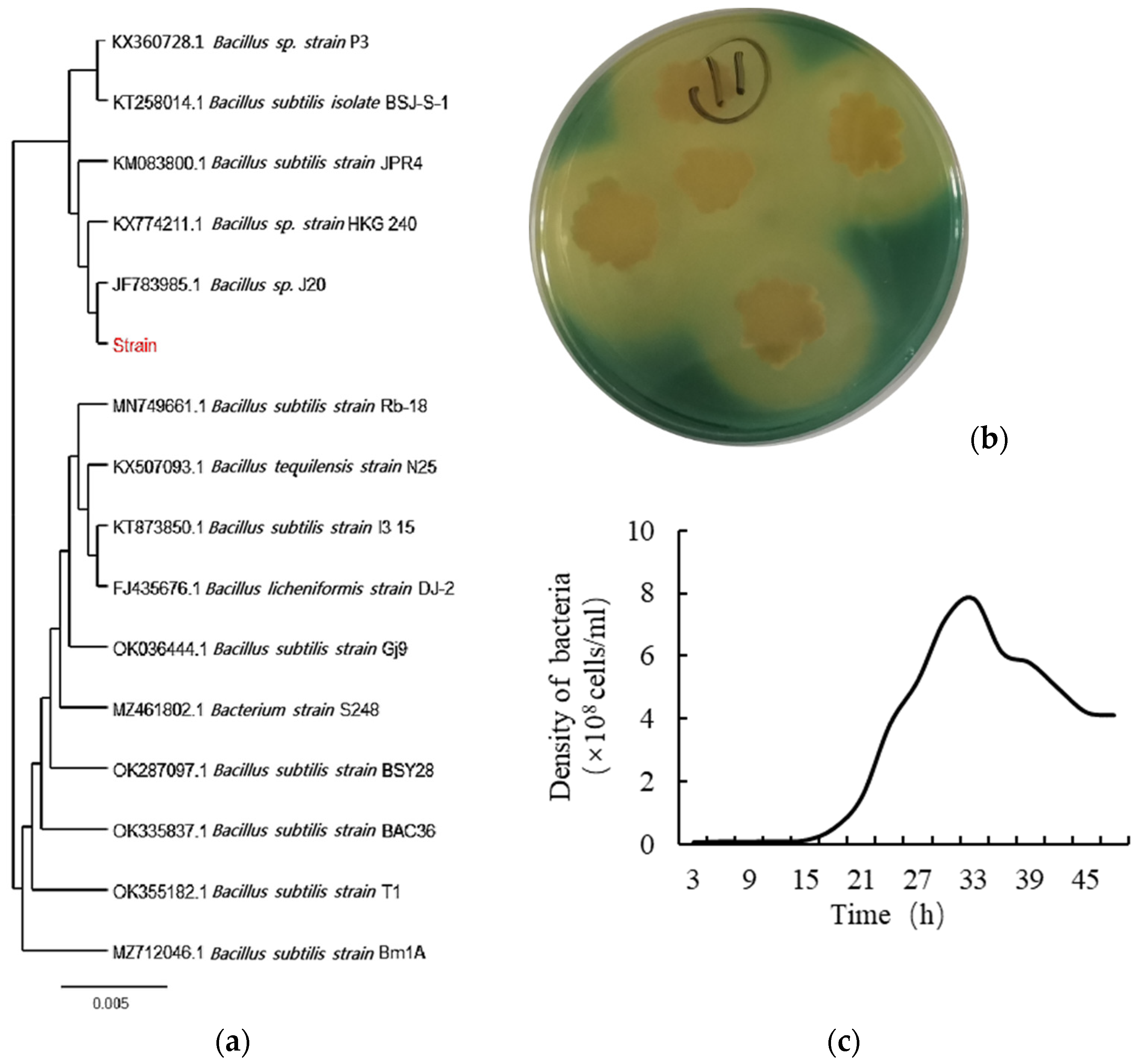 Horticulturae 08 00970 g001