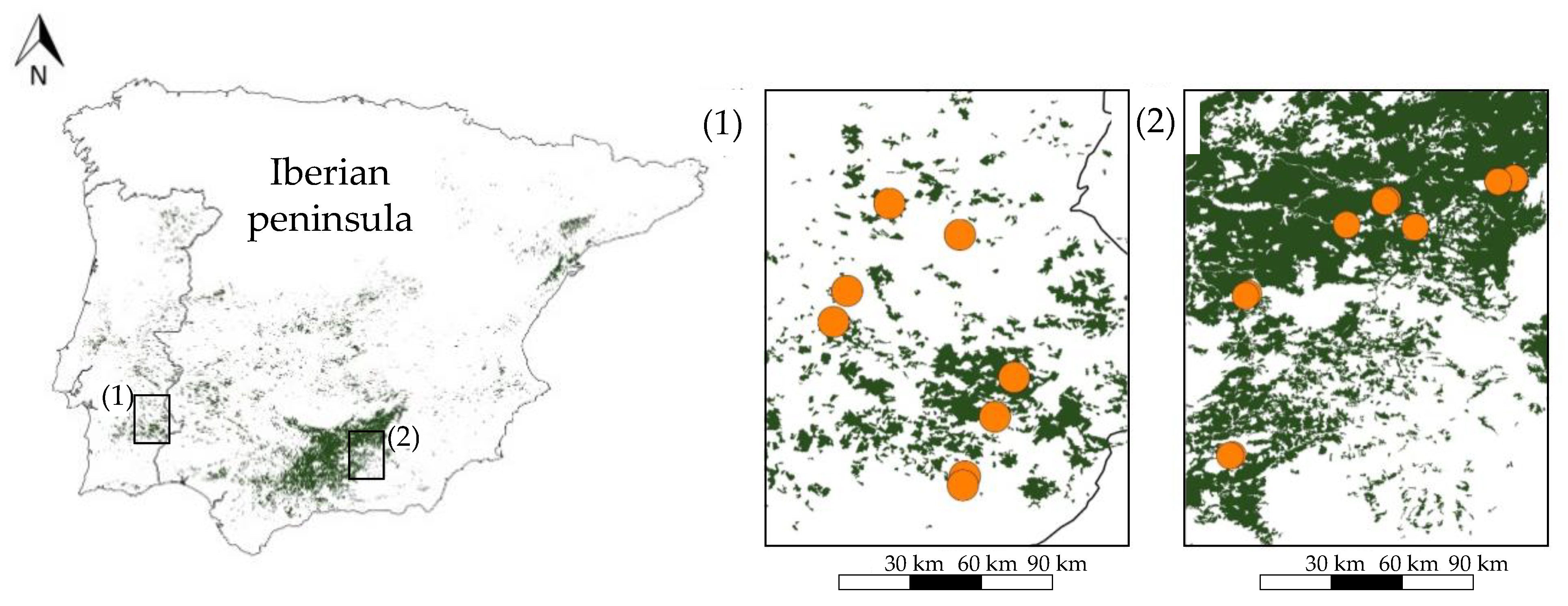 Horticulturae 08 00977 g001